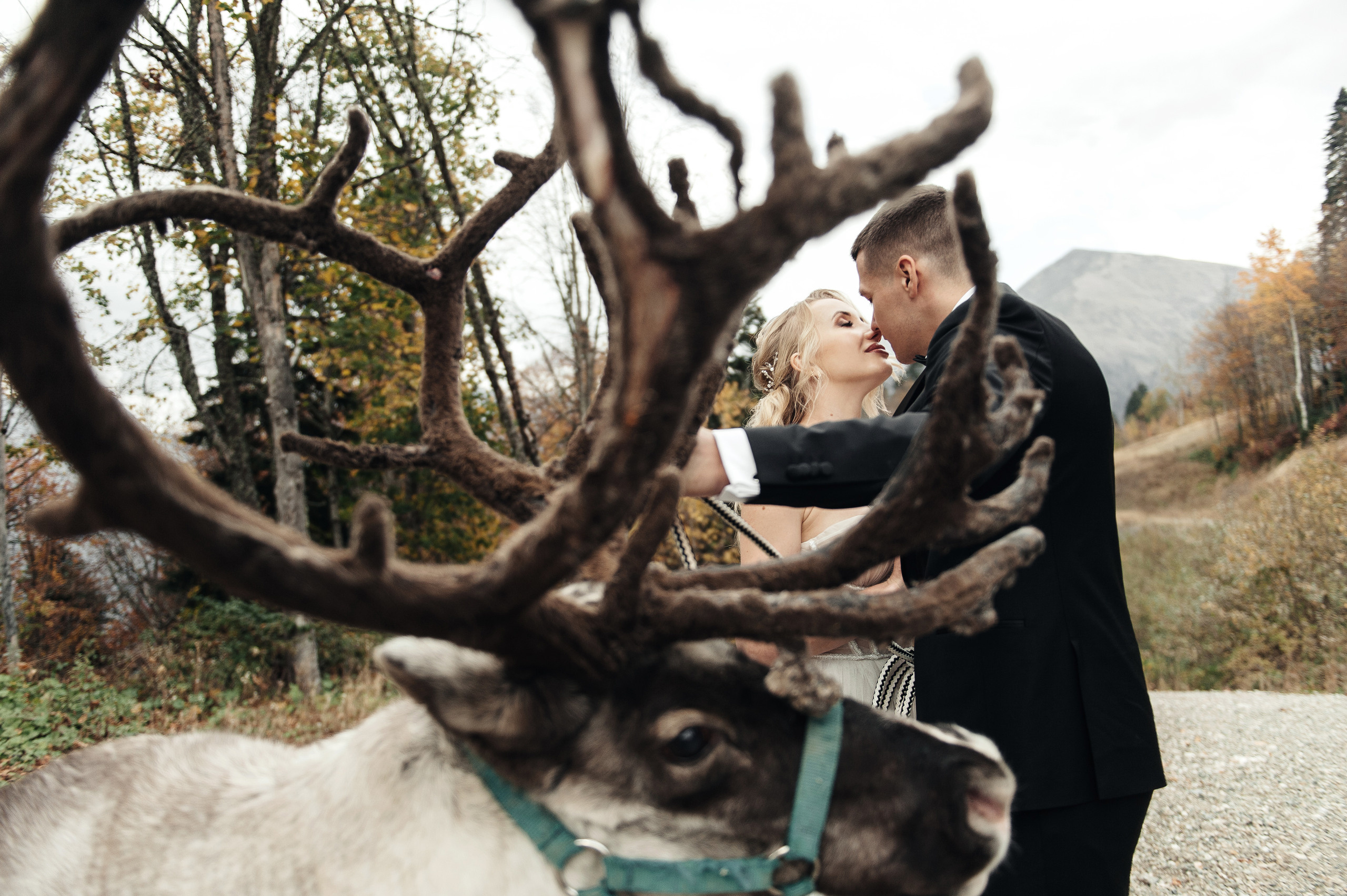 Станислав и Наталья. Свадебный фотограф в Ростове-на-Дону Тарасенко Константин