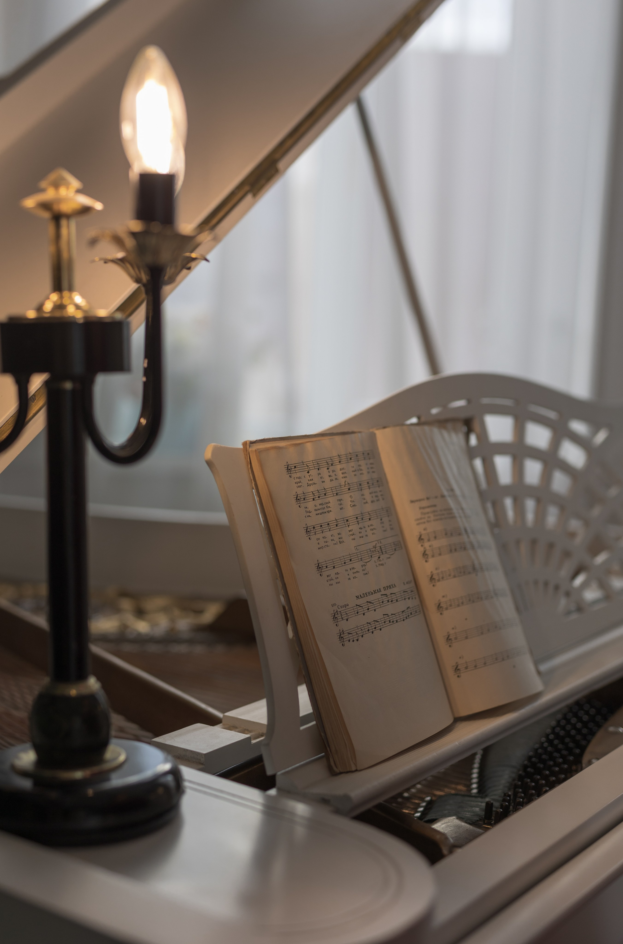 Елена. Фотограф в Нижнем Новгороде, Дзержинске Олеся Хозяева