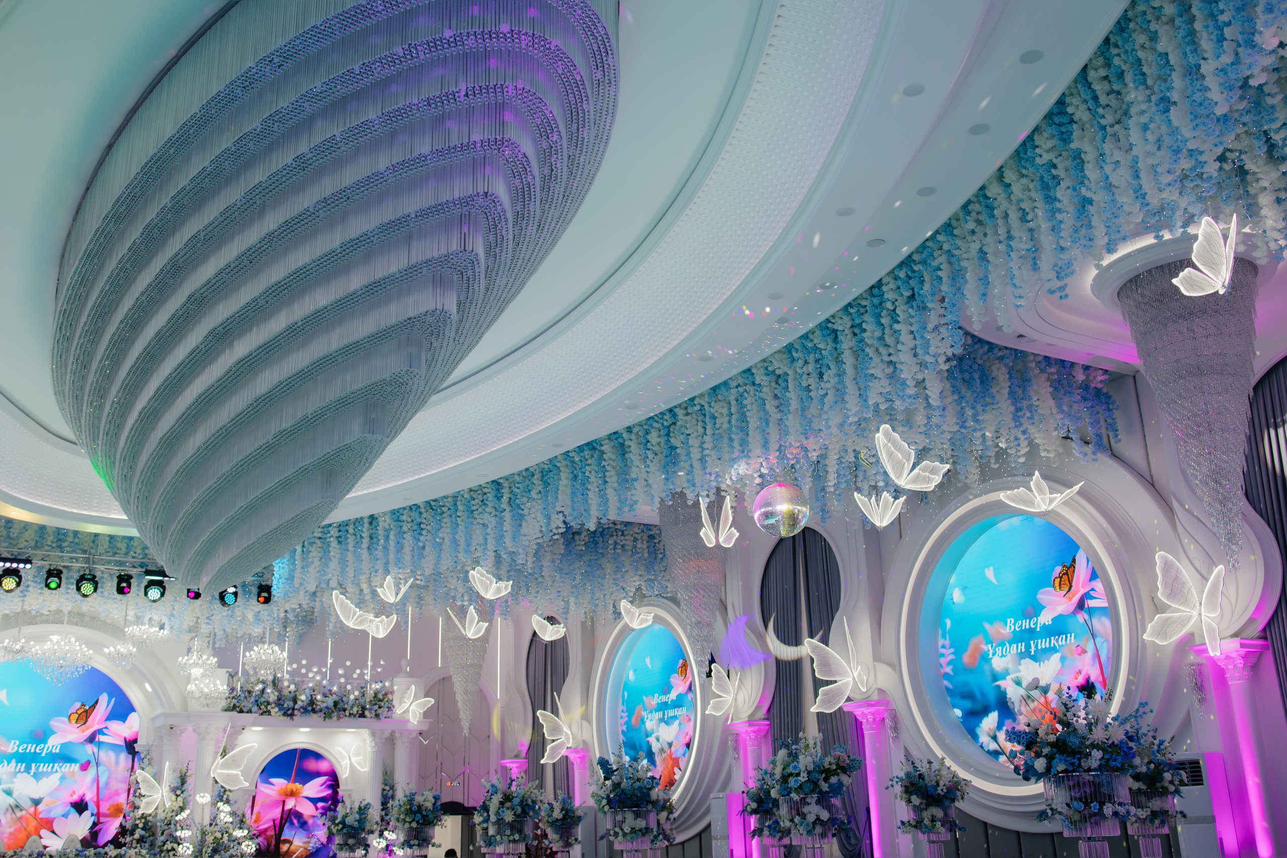 Uzatu Venera. Baikulov