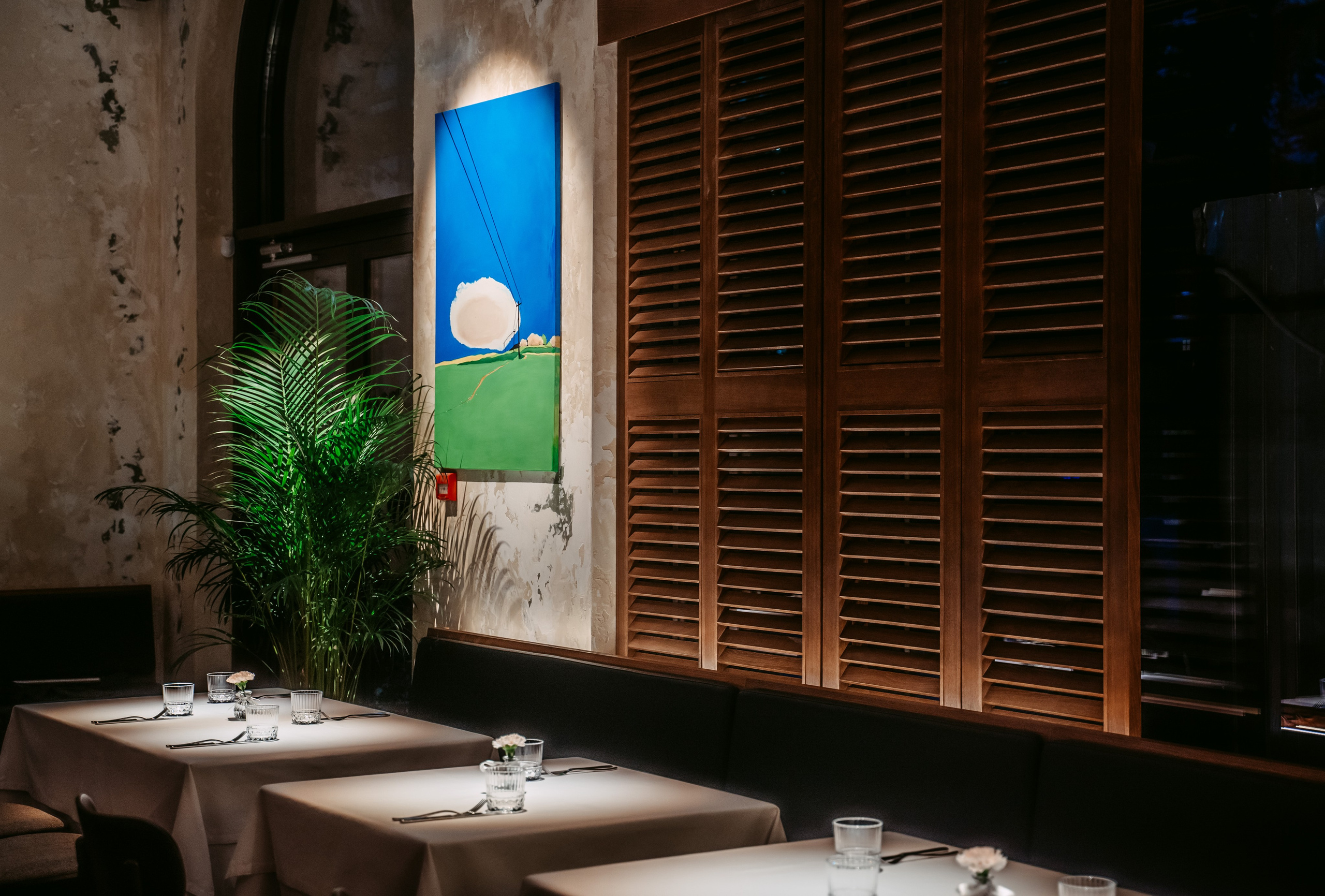 Avocado Queen / сеть ресторанов в Москве и Казани. Саша Копылов, фотограф в Казани