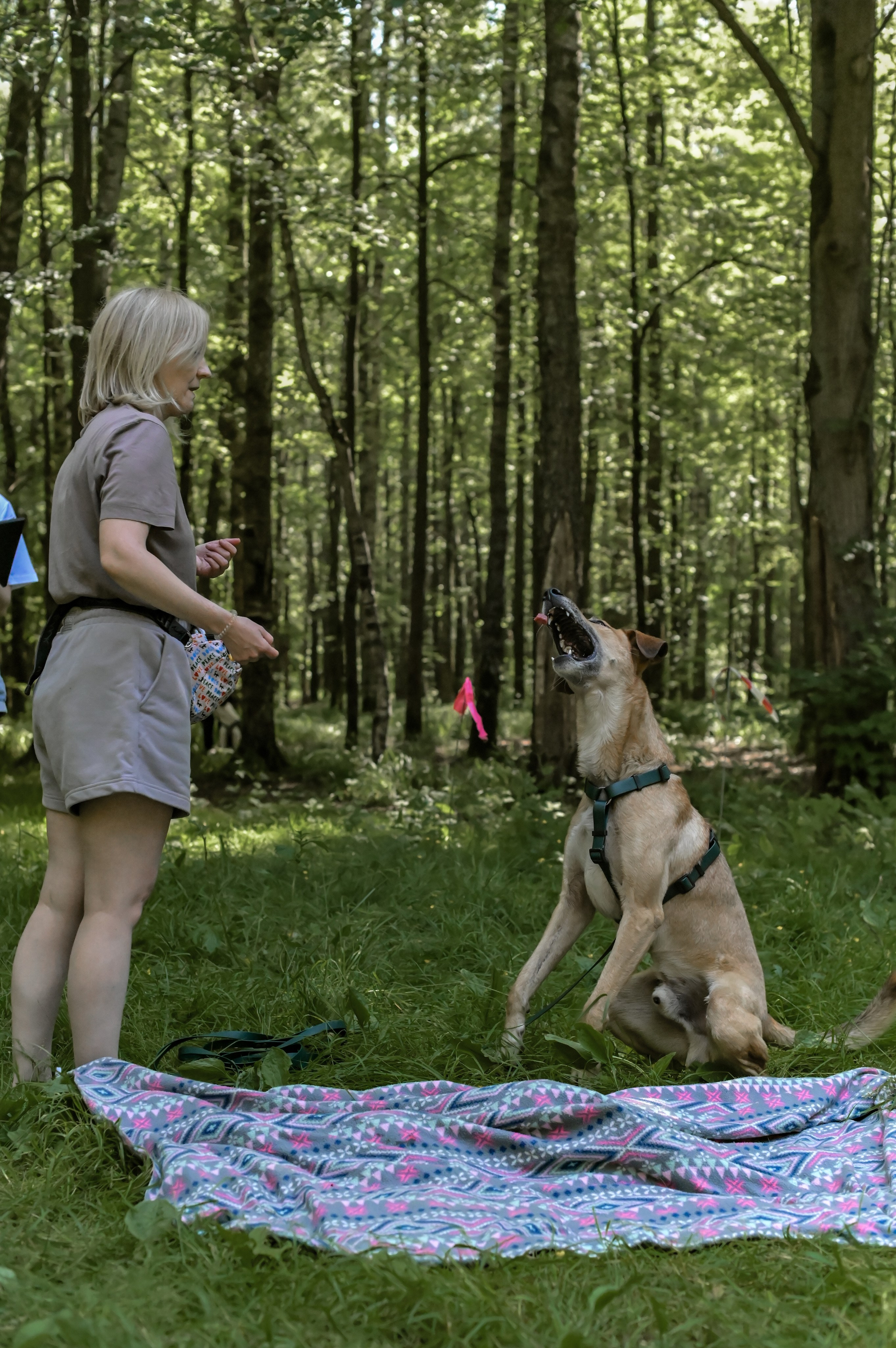Кинологические соревнования. Семейный и репортажный фотограф в Москве Анастасия Трубкина