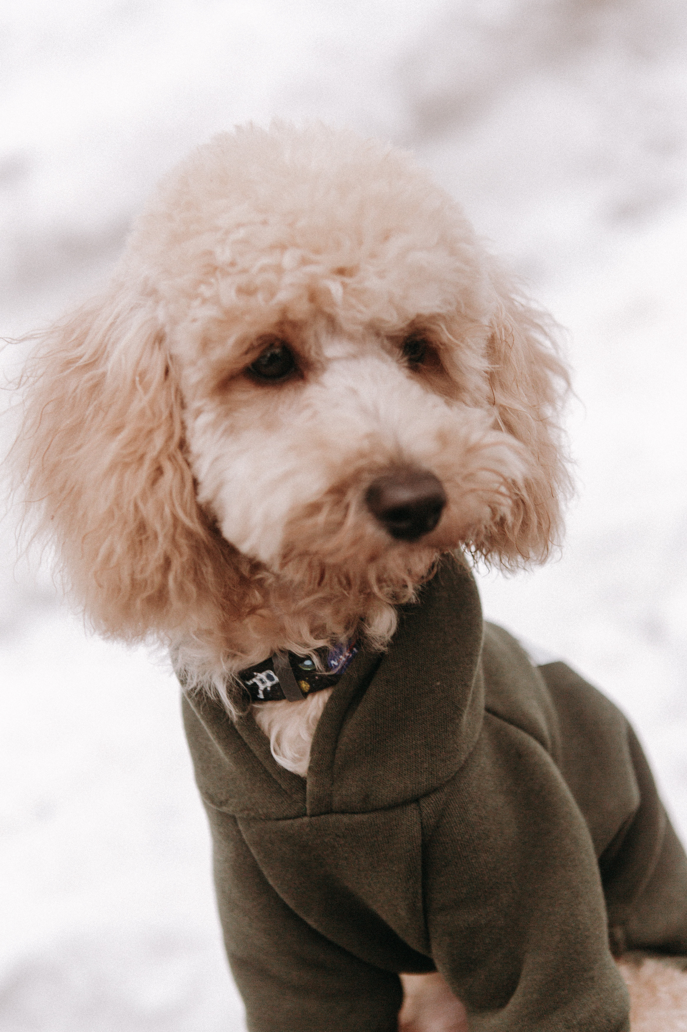 P&D / Moscow. Galina and Nikita Bykovets, a wedding photographer and videographer duo in Germany