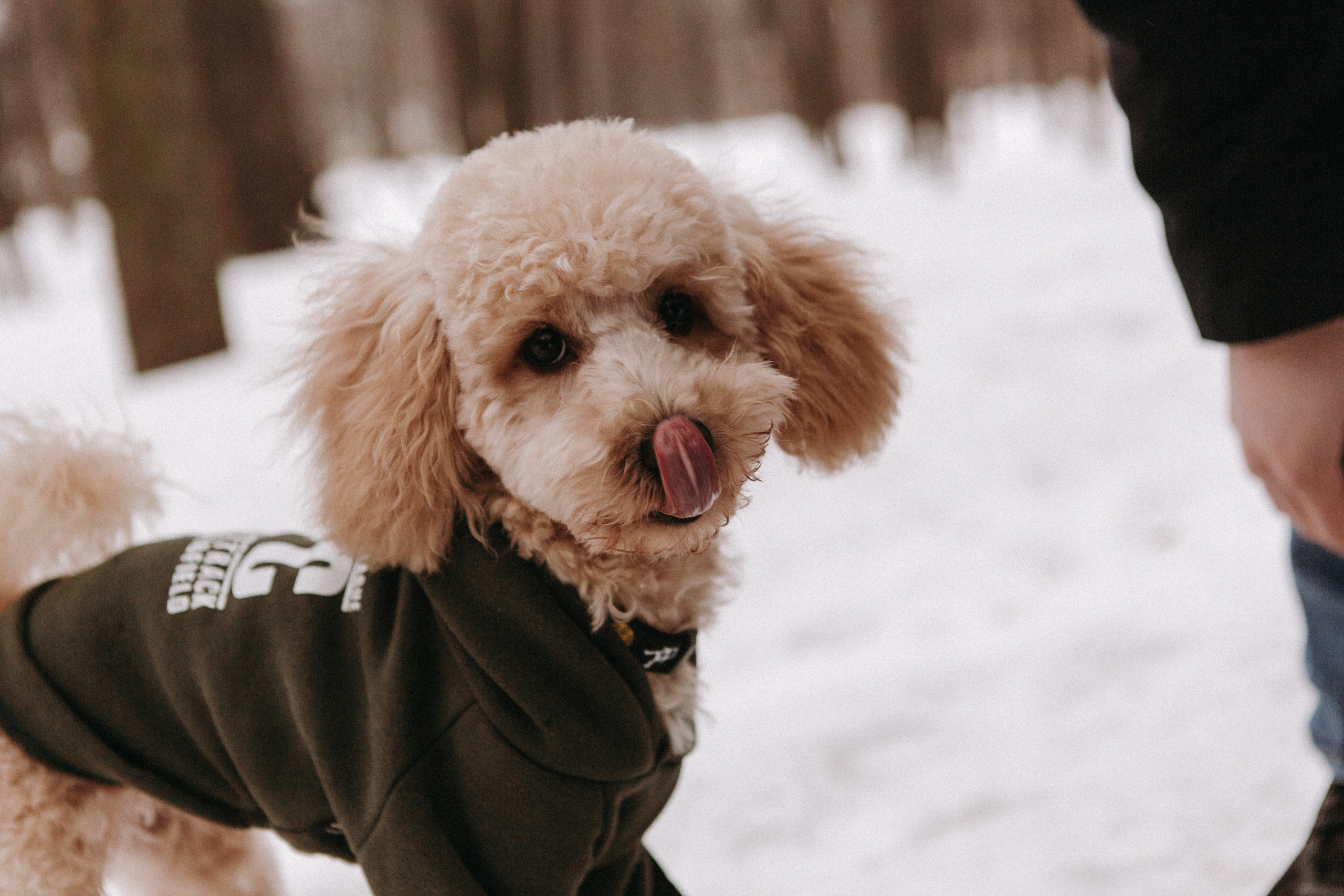 P&D / Moscow. Galina and Nikita Bykovets, a wedding photographer and videographer duo in Germany