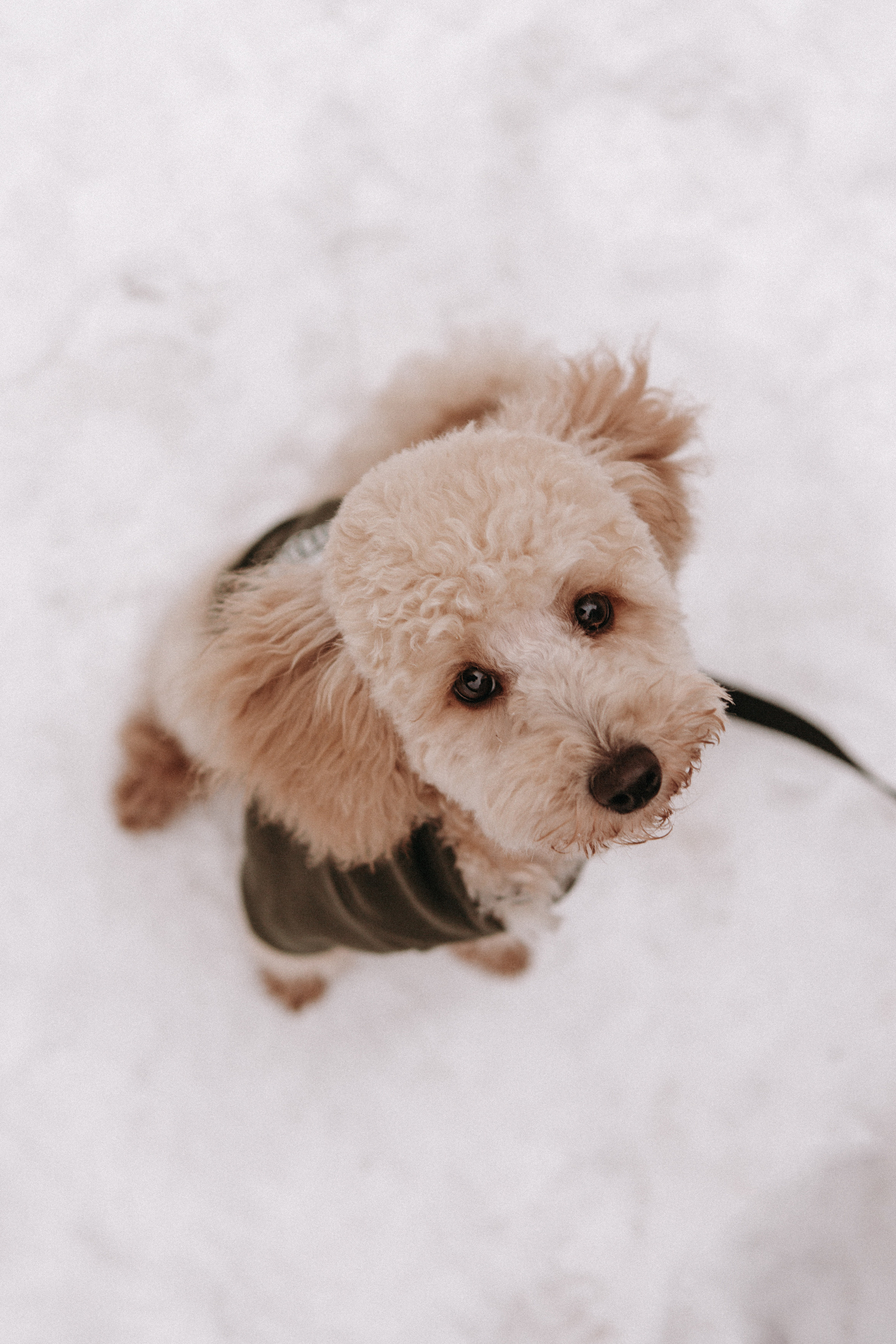 P&D / Moscow. Galina and Nikita Bykovets, a wedding photographer and videographer duo in Germany