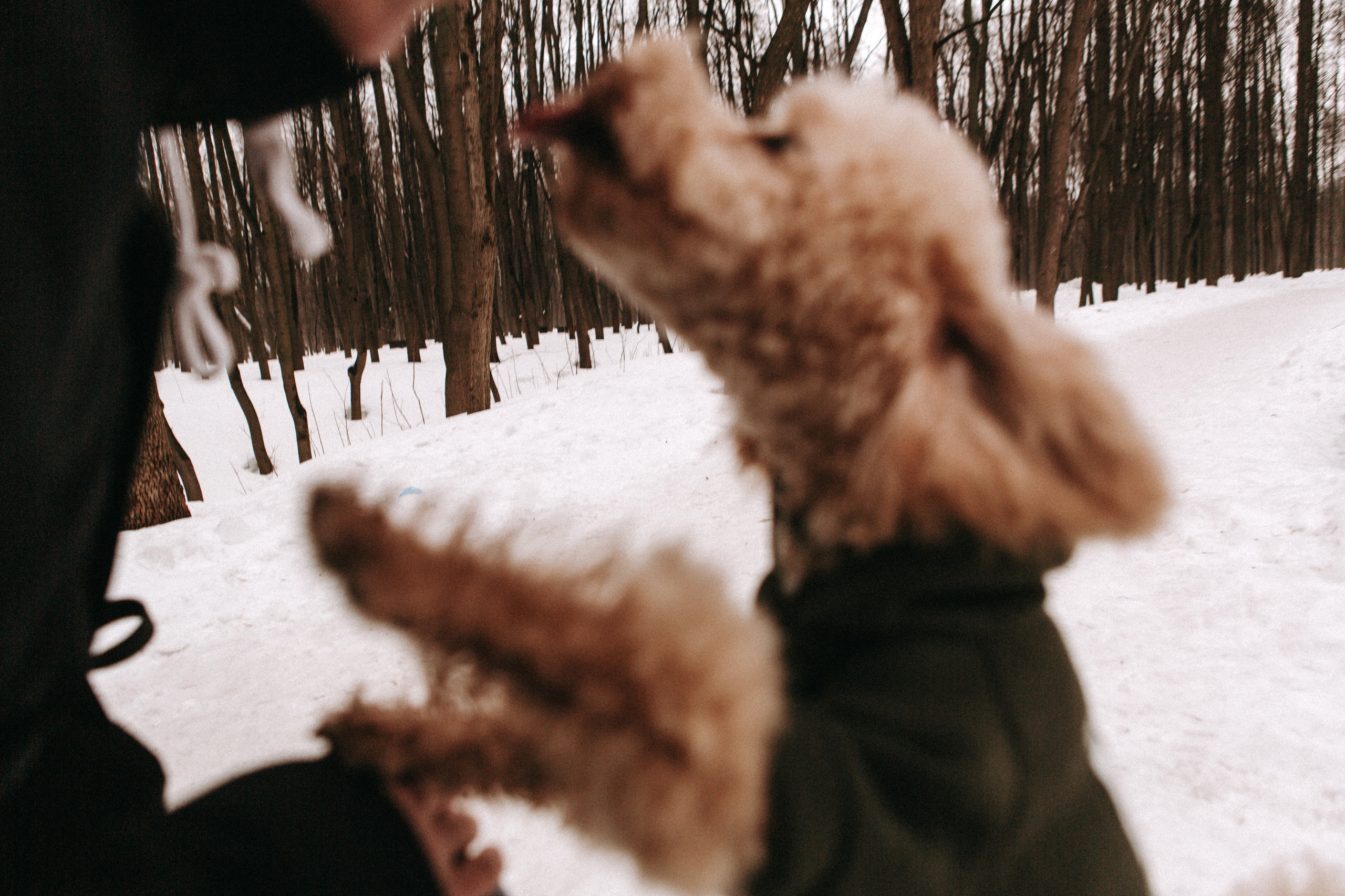 P&D / Moscow. Galina and Nikita Bykovets, a wedding photographer and videographer duo in Germany