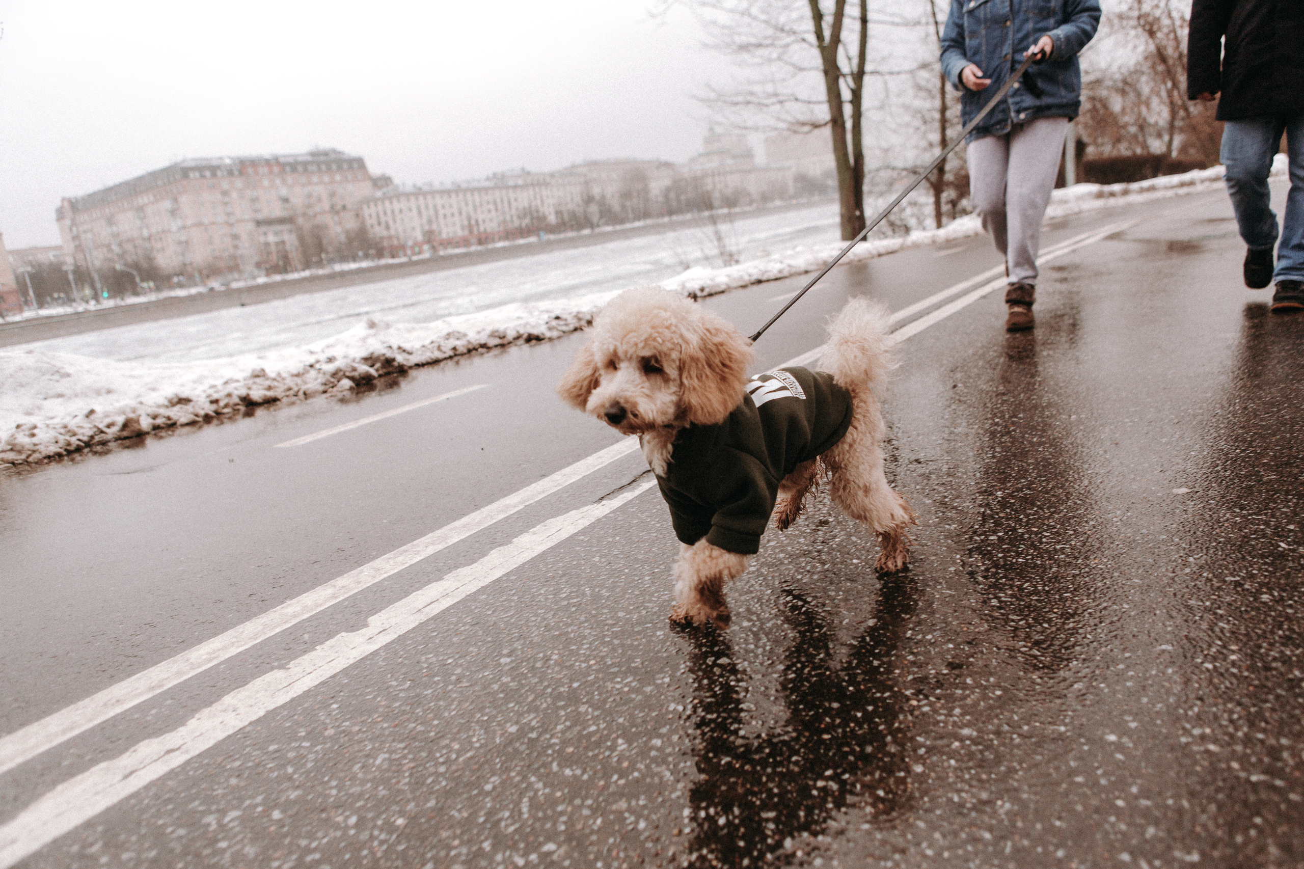 P&D / Moscow. Galina and Nikita Bykovets, a wedding photographer and videographer duo in Germany