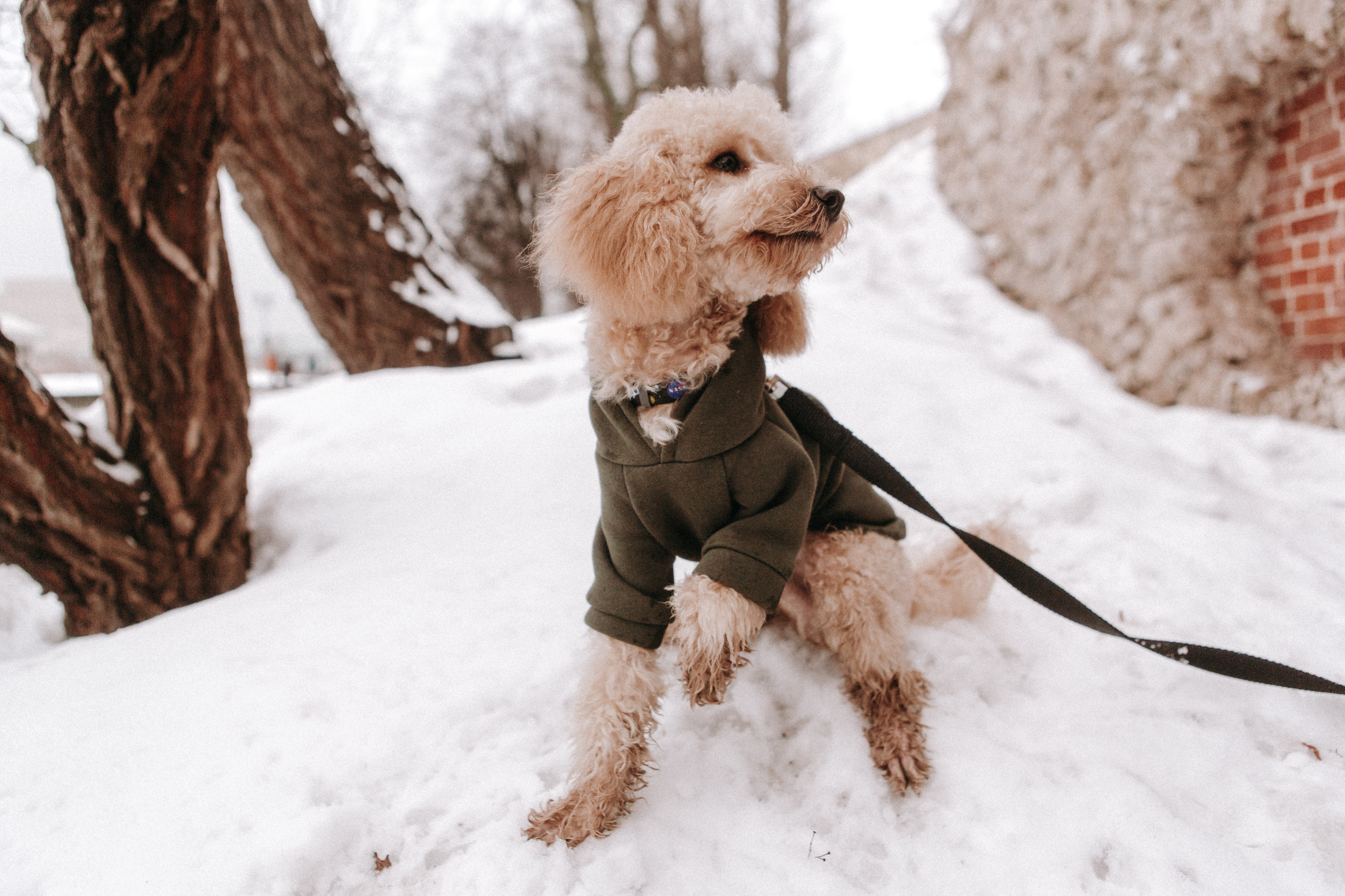 P&D / Moscow. Galina and Nikita Bykovets, a wedding photographer and videographer duo in Germany