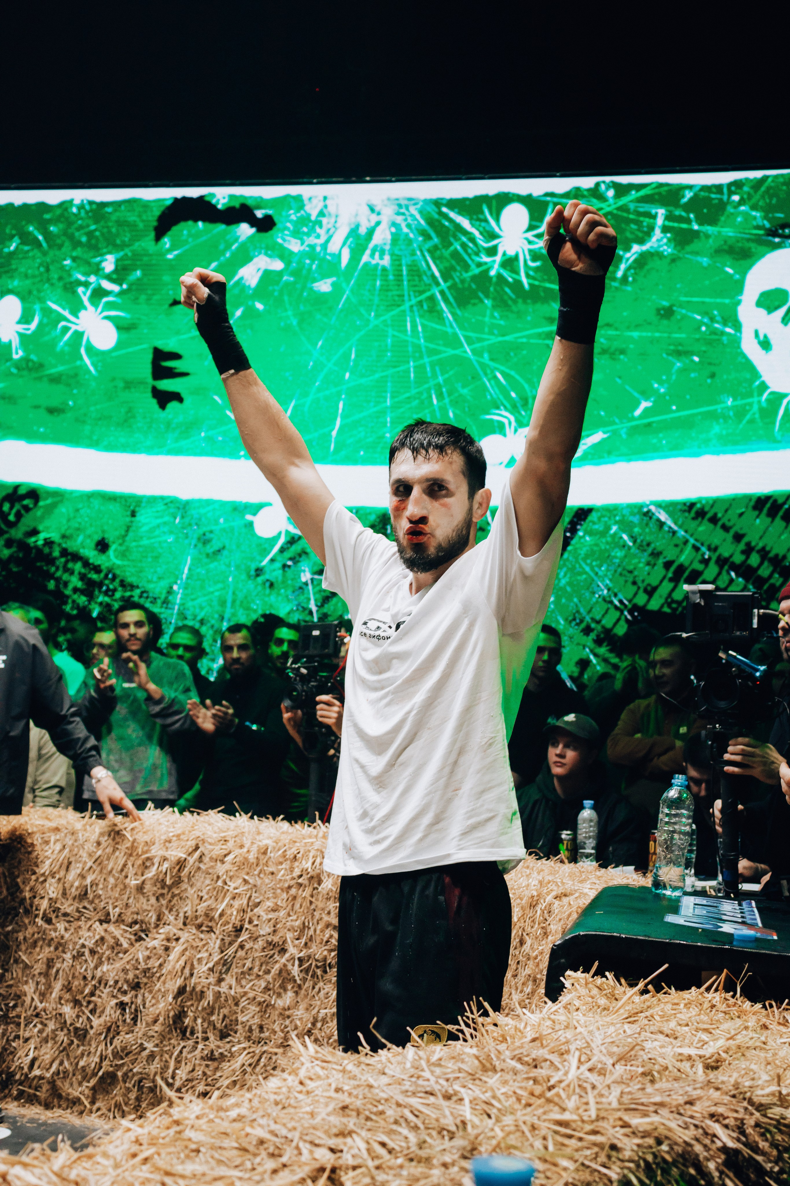 Кулачные бои TopDog. Анастасия Тен