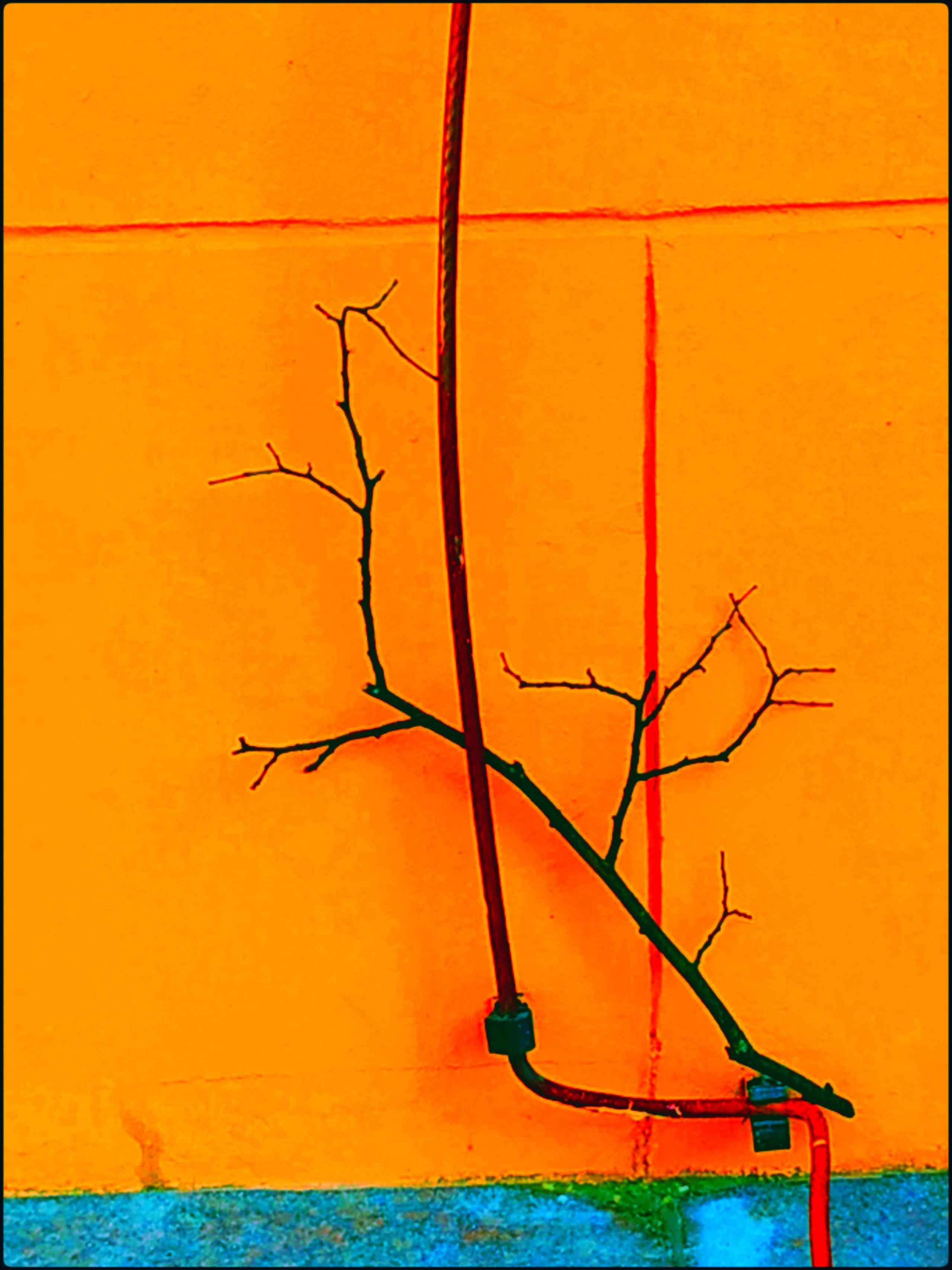 Malamoonki. Катерина Малама арт-фотограф