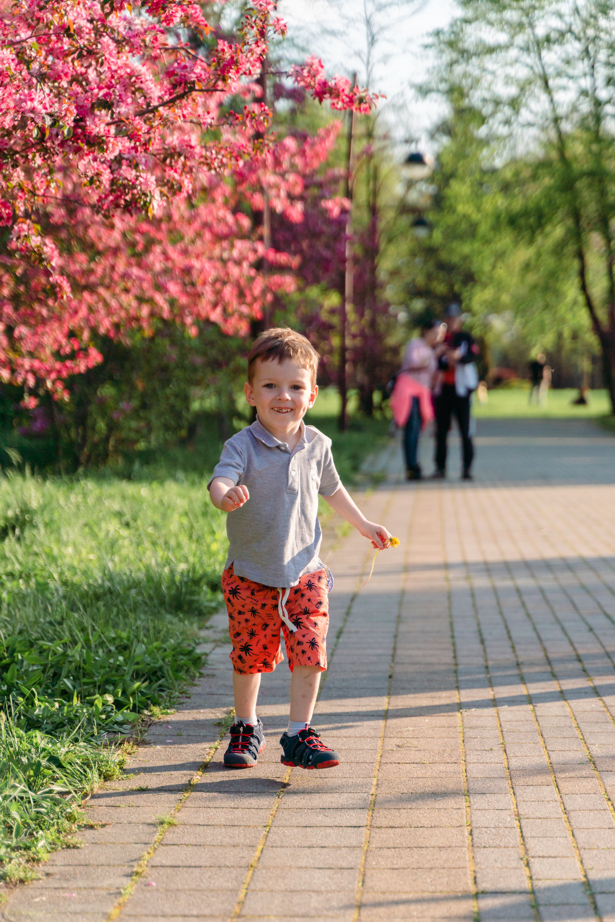 Ботанический сад. Семейный и бренд фотограф