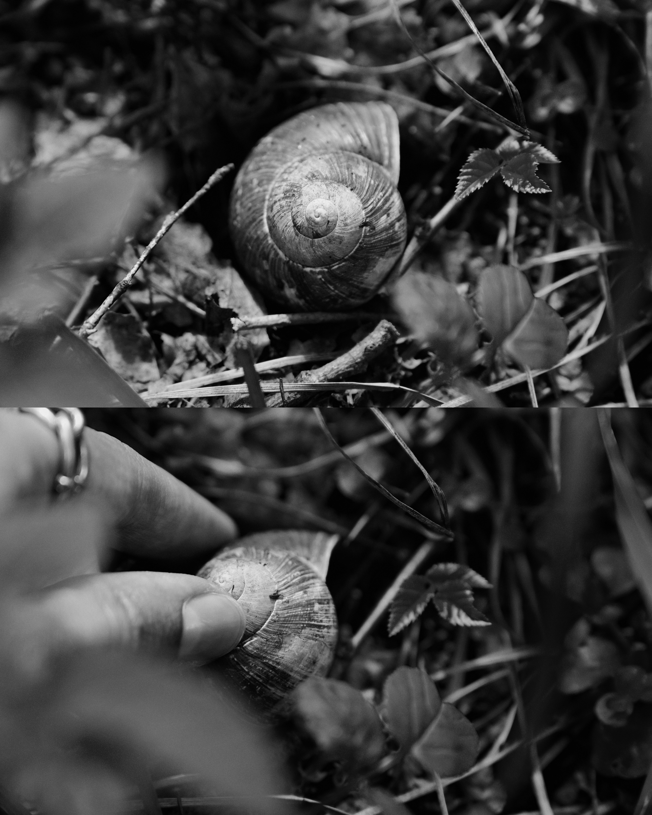 PODMOKLOVO. ANNA — PHOTOGRAPHER