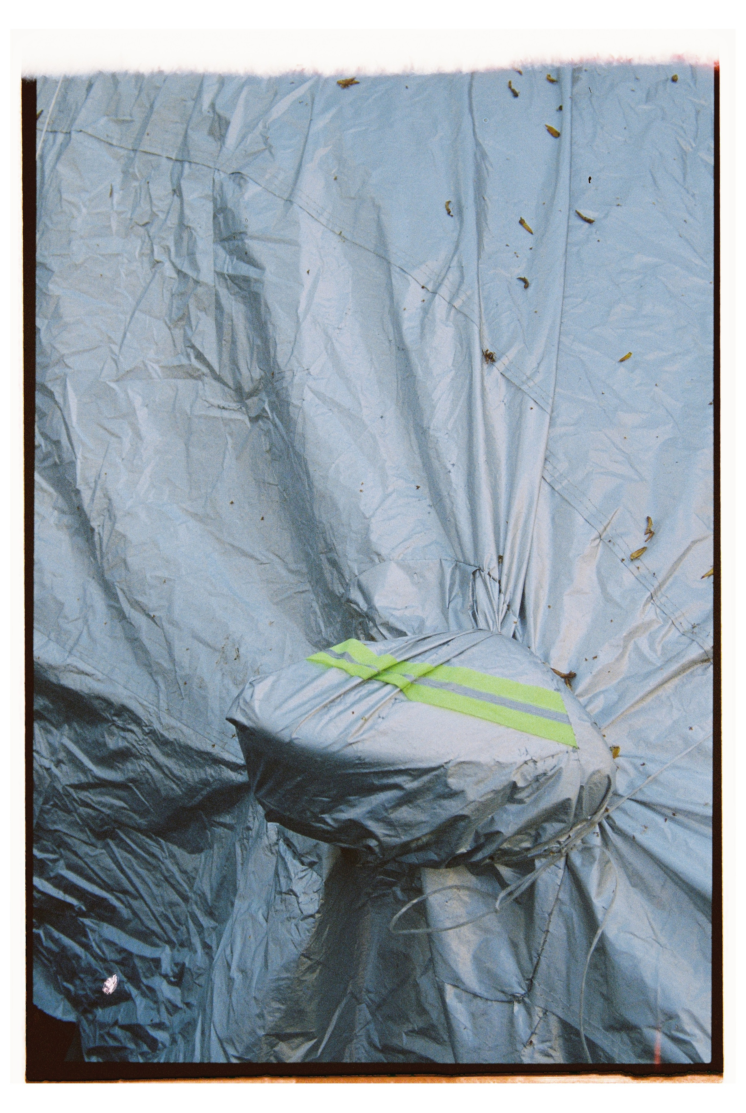 CARS. ANNA — PHOTOGRAPHER