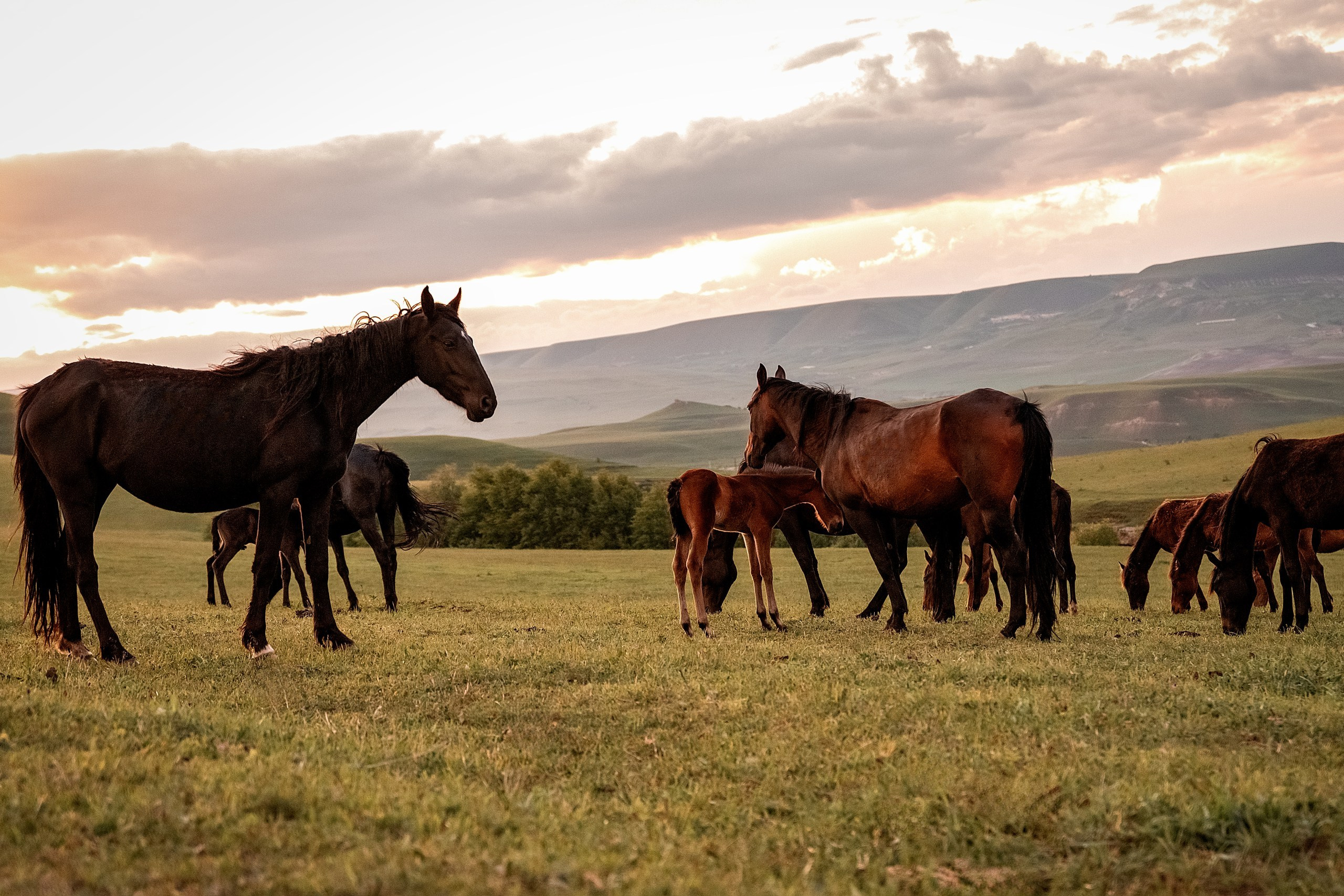 Майское закатное. BrisArts
