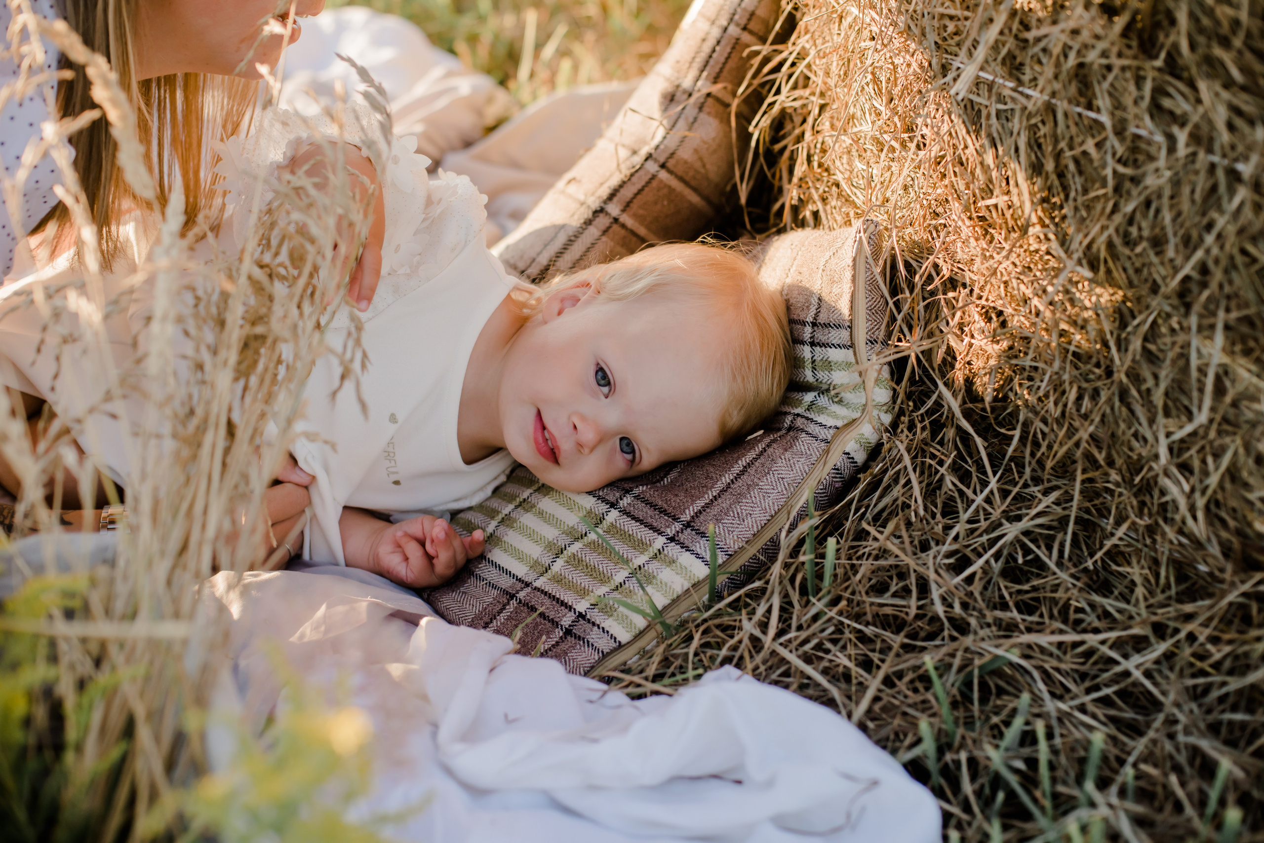 Семья в поле. Свадебный и семейный фотограф Евгения Кононова