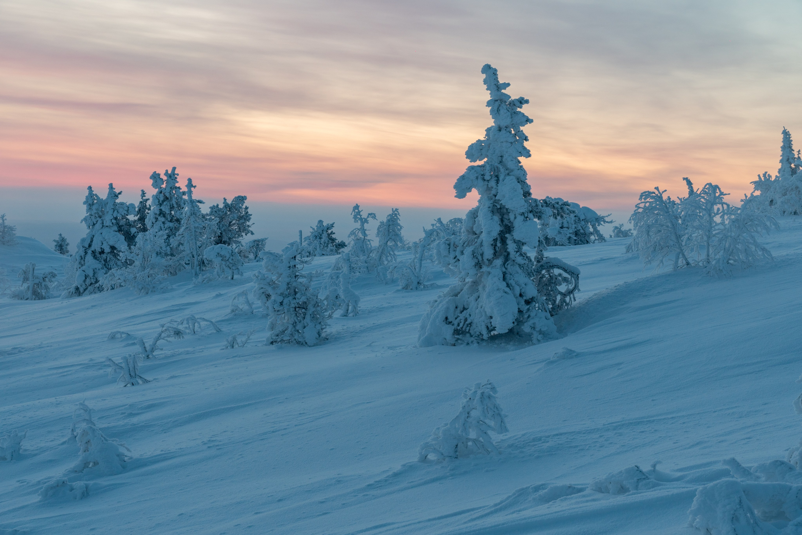 Пейзажная фотография. Daria wanderer photography