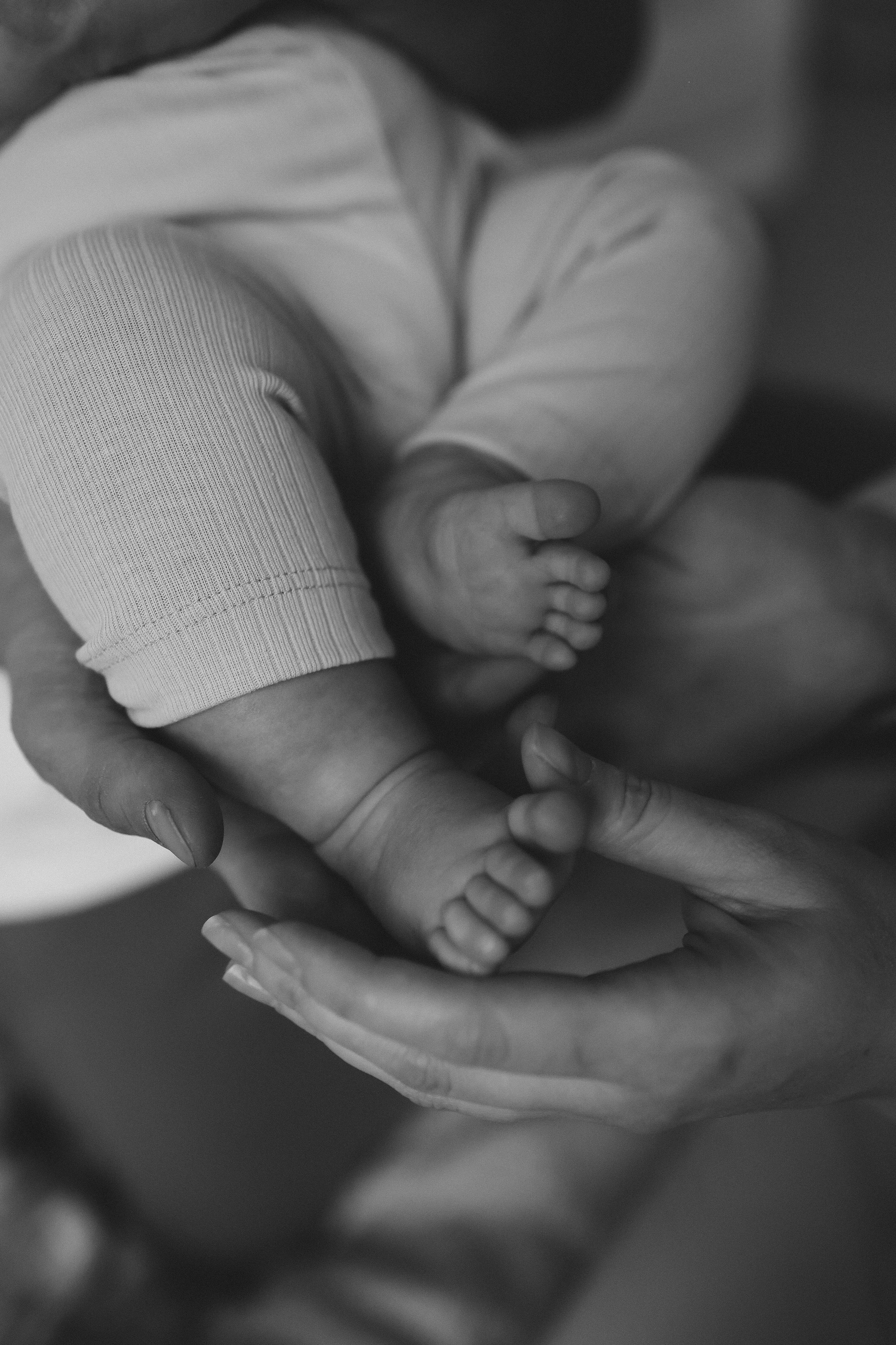 Новогодняя фотосессия семейная фотосессия. Фотограф Владимир Москва