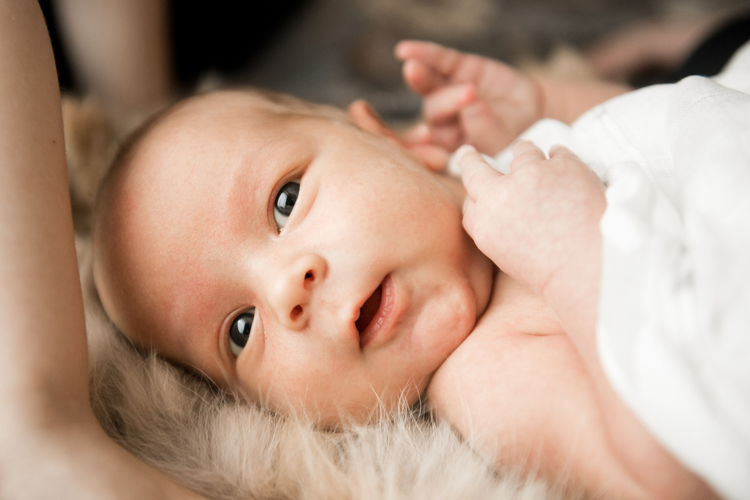 Антон, Владлена +2 :). Фотограф Егоров Констанин