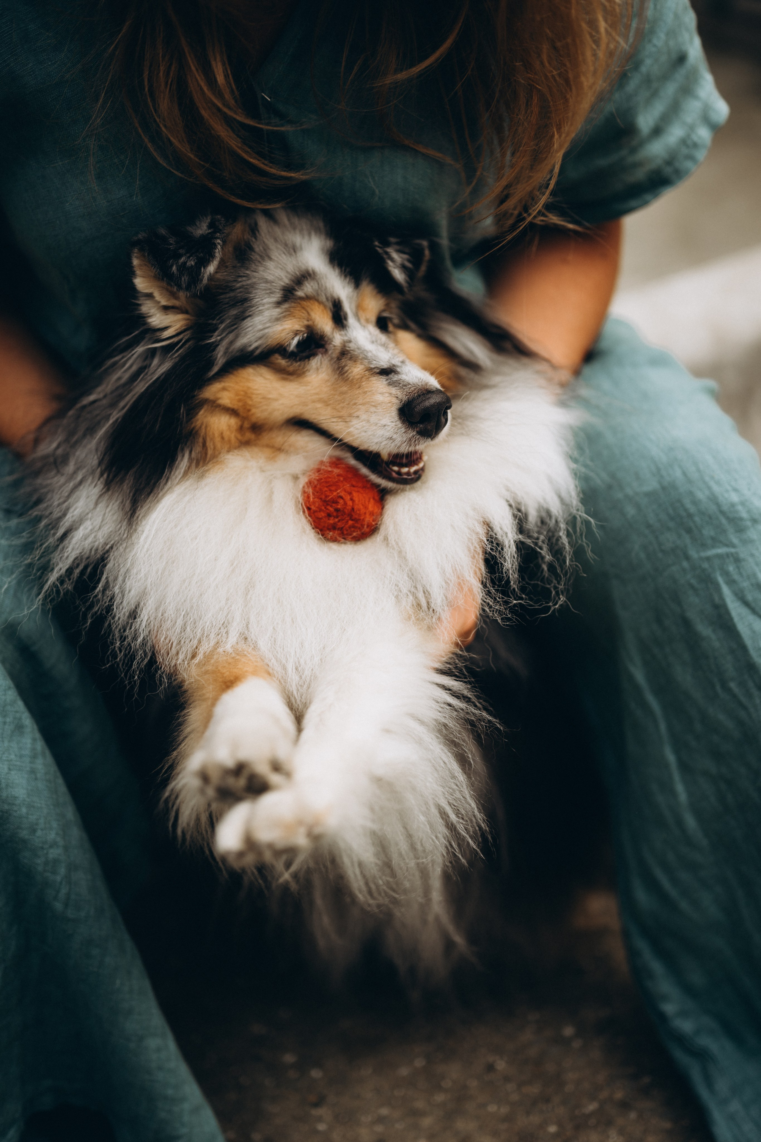 Яна и Холли. Мария Кобзева, фотограф в Ялте, Крым