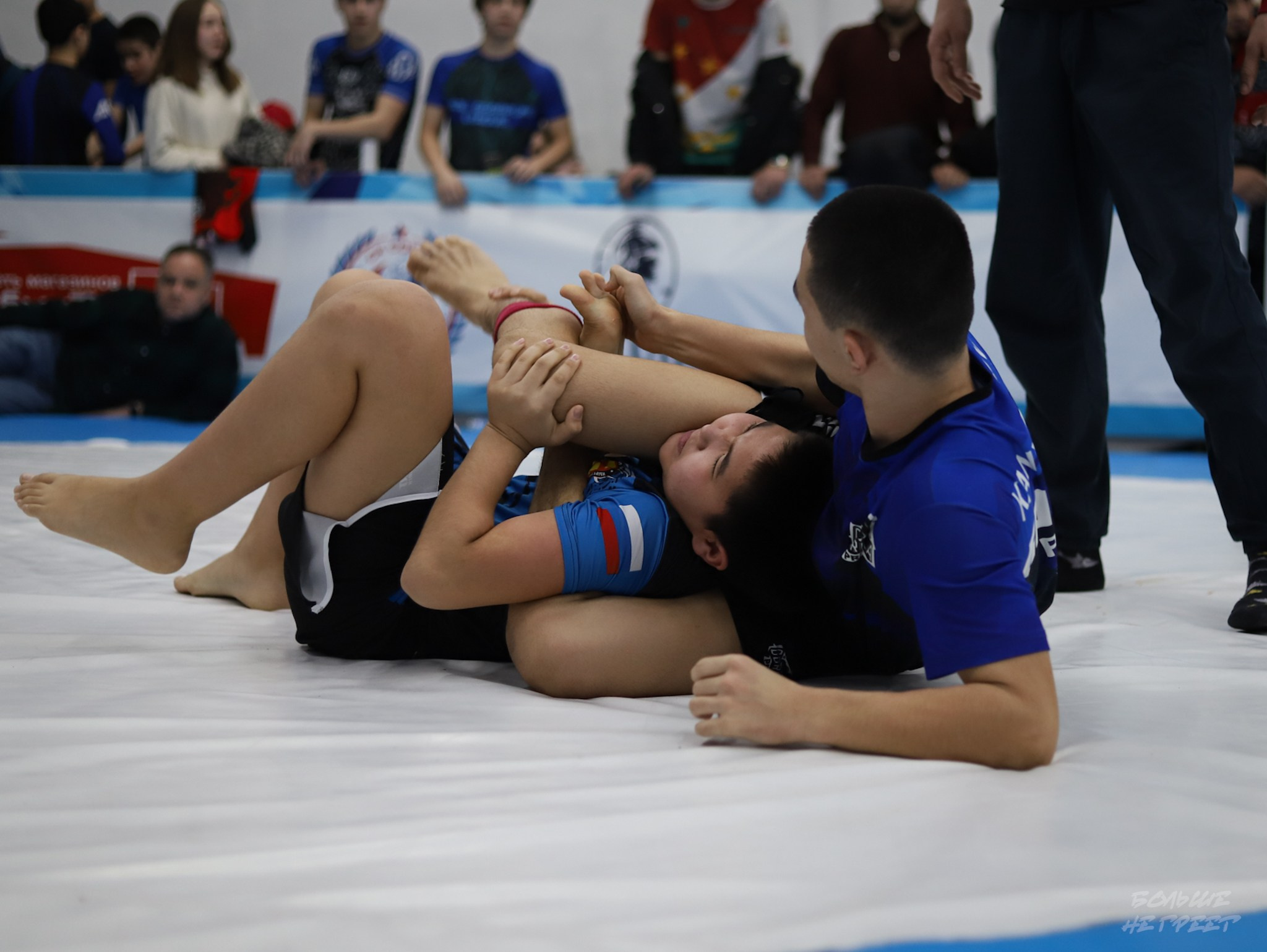 GORILLA PRIDE CUP. Больше не греет