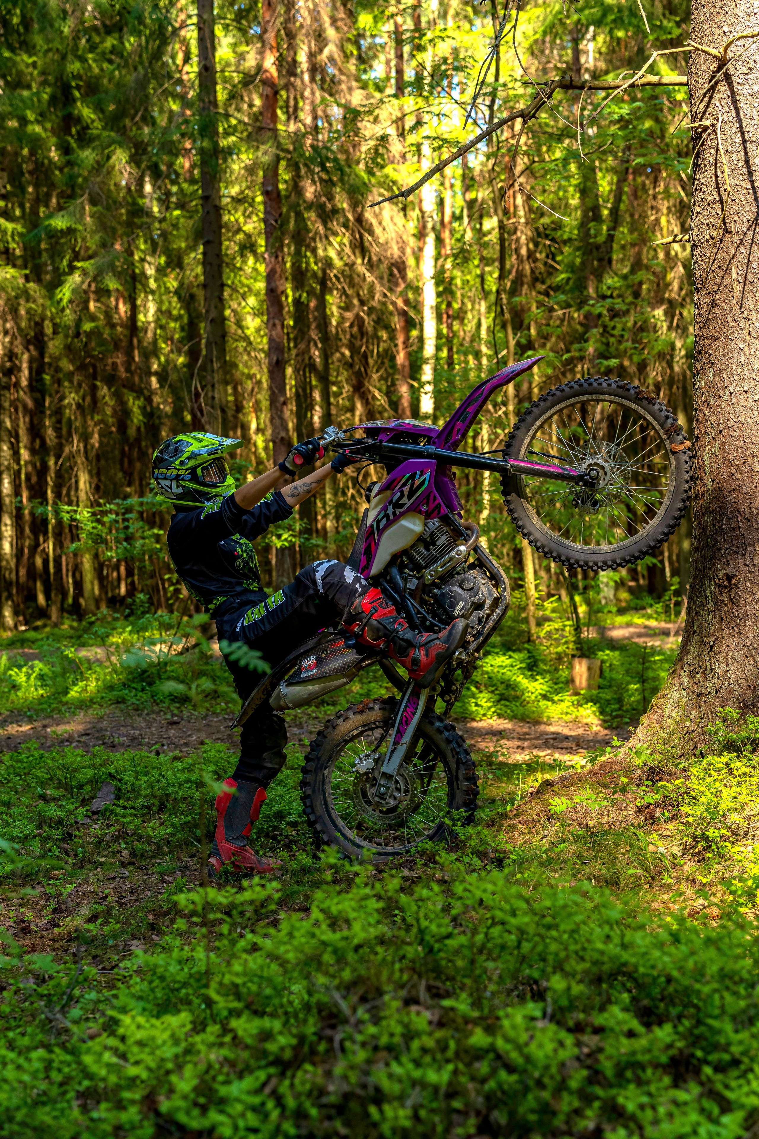 Катя Ли. Графический дизайнер Илья Левченко