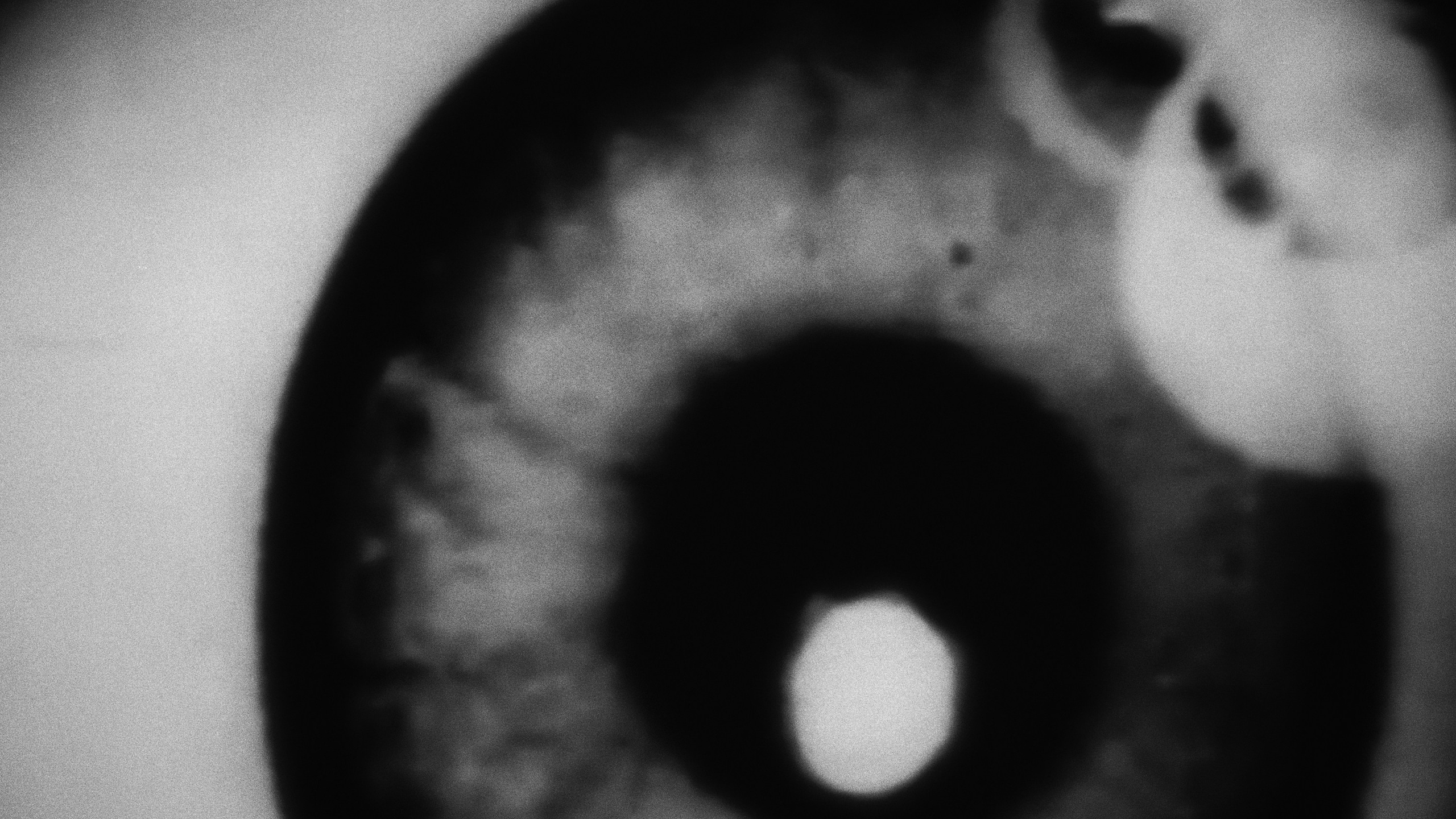 About. Фотограф Юрин Евгений