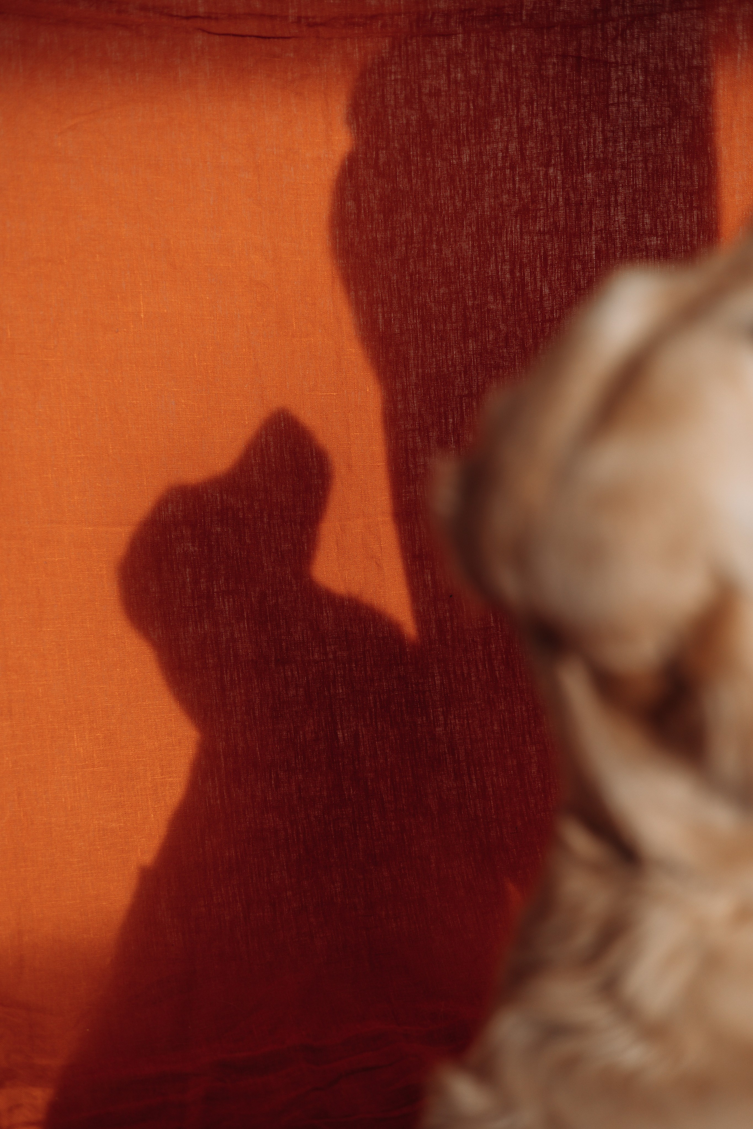 Марина и Чили. Фотограф — Анималист | Санкт-Петербург