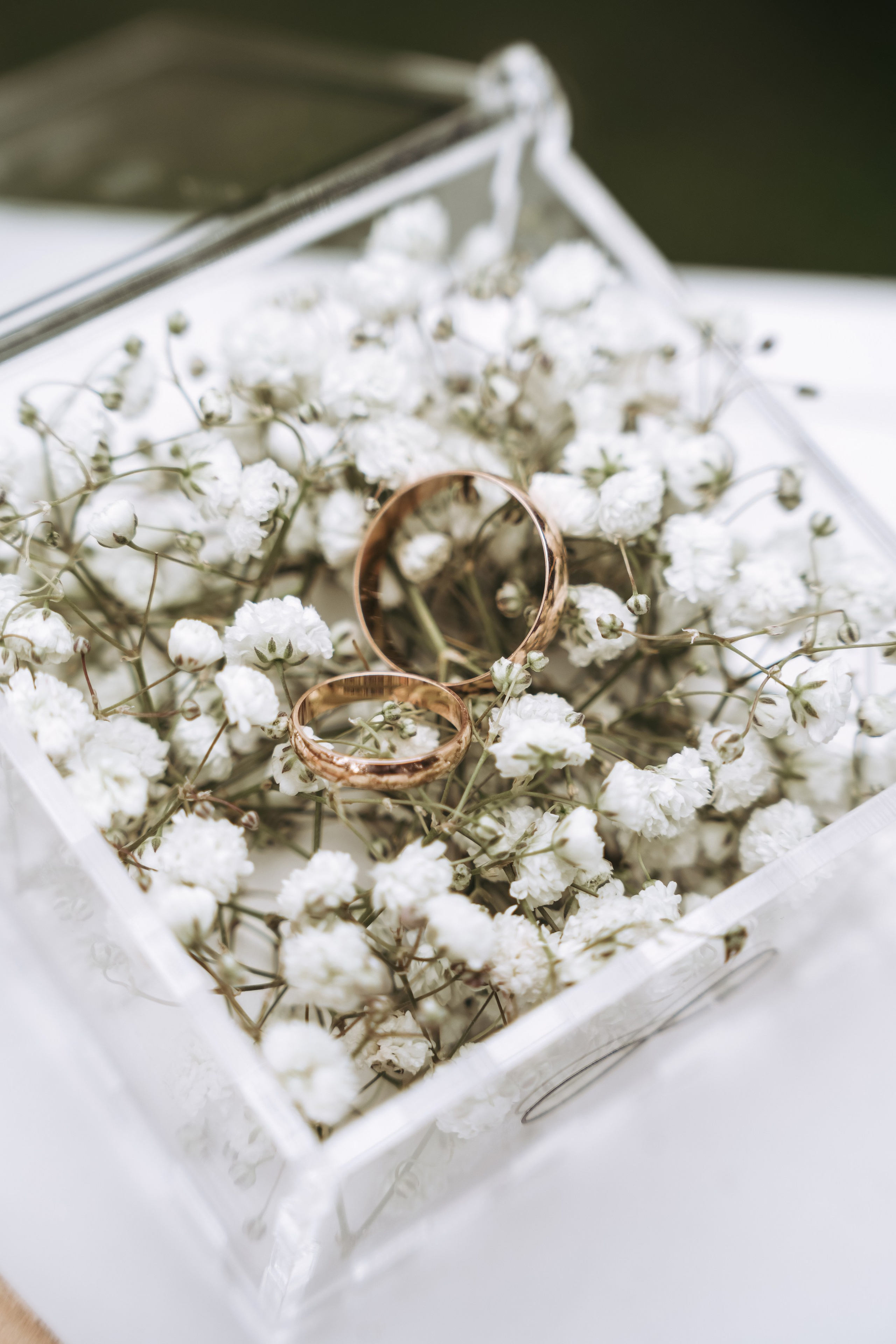 Яков и Екатерина. Семейный и свадебный фотограф в Ульяновске Арина Авдеева