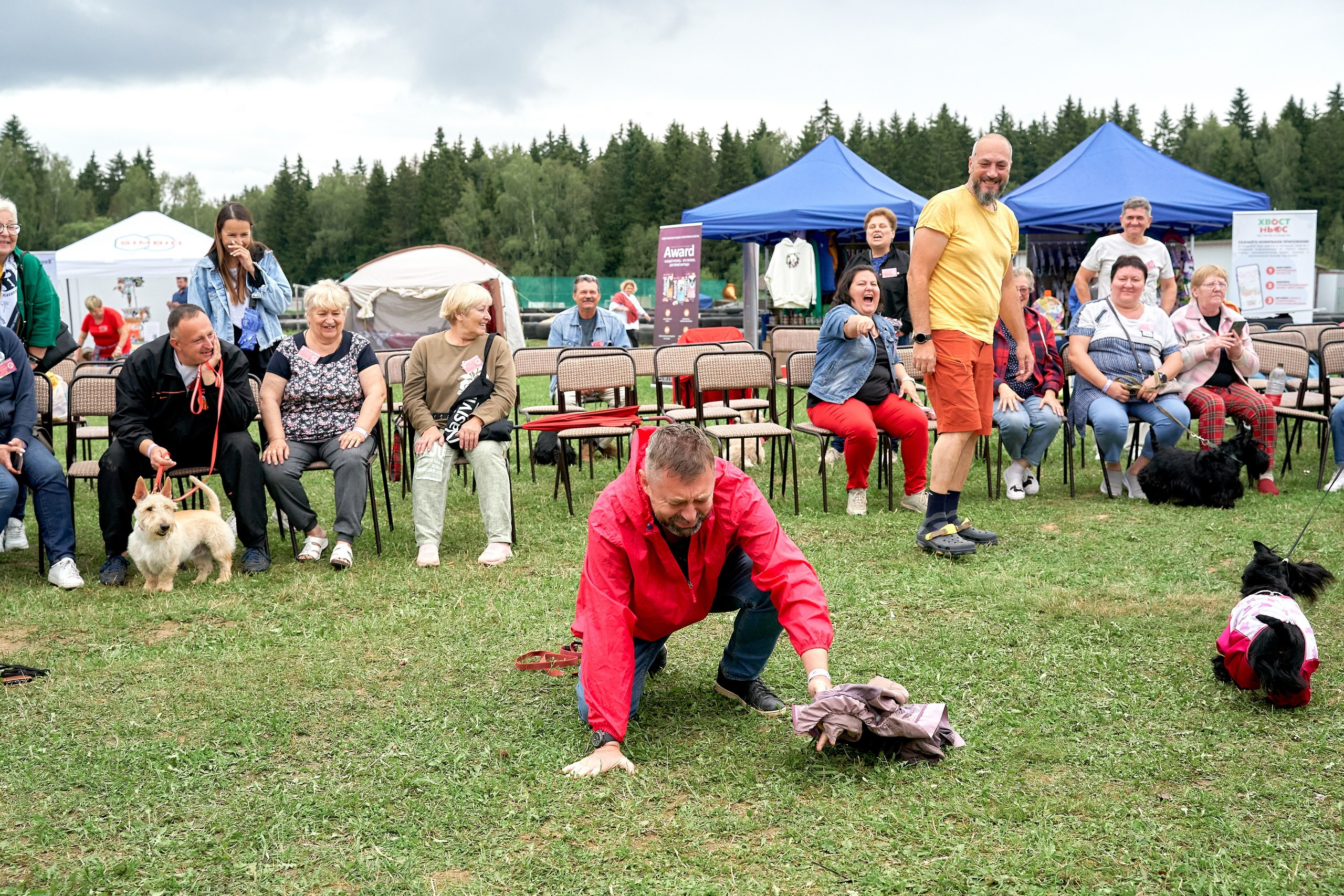 Мероприятия с собаками — галерея NATRIEL