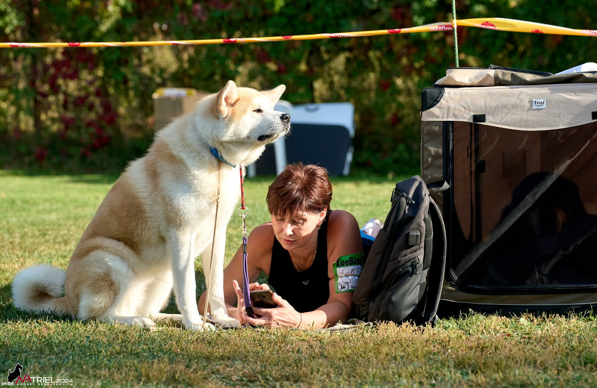 Съемка на выставке в Электросталь