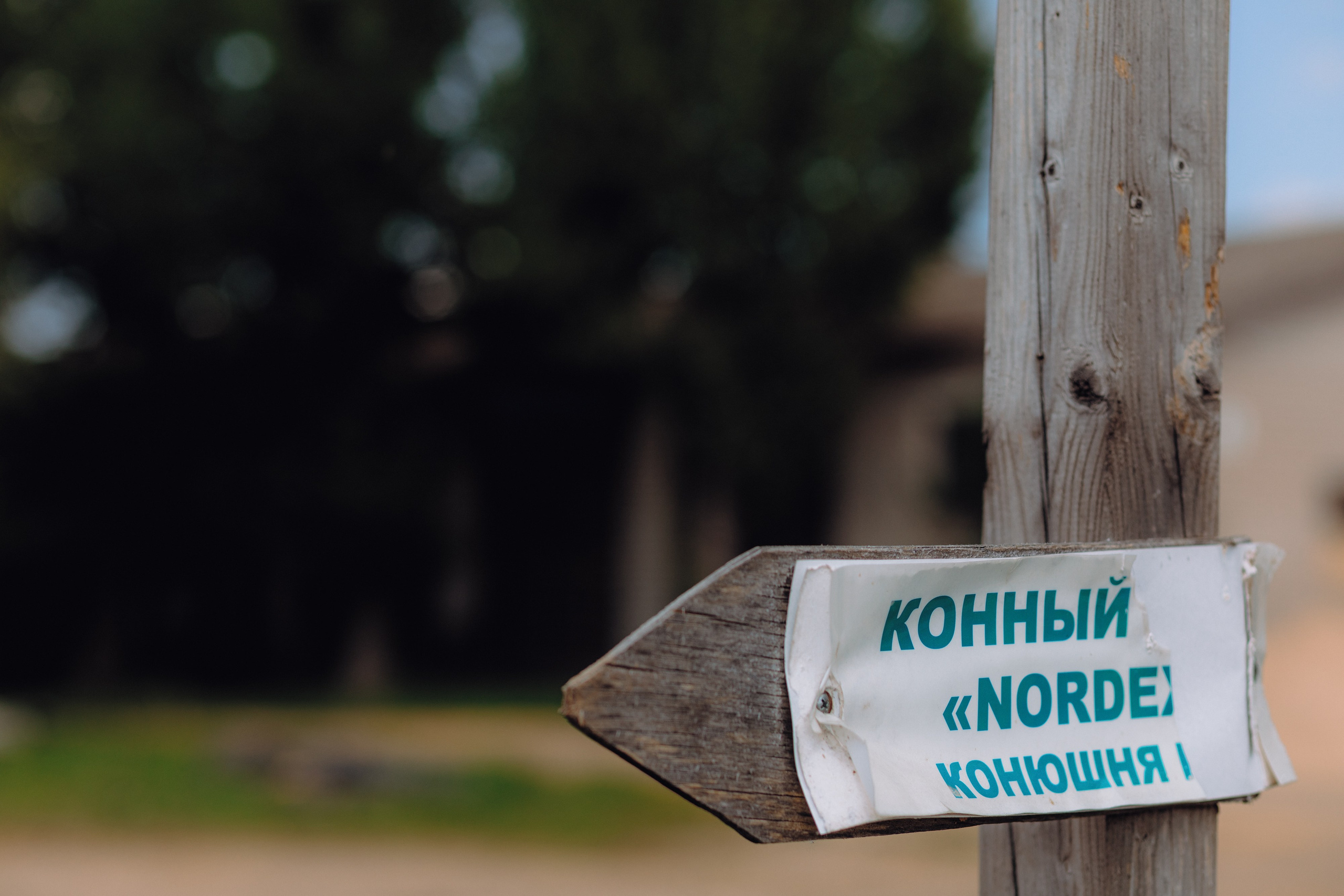 Никита & Мария. Свадебный и семейный фотограф в Кирове, Малых Никита