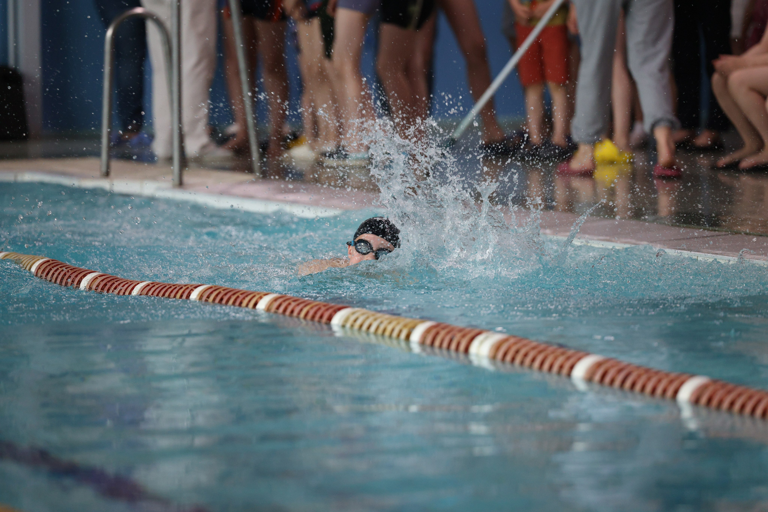 Веселый дельфин. Плавание. Дети 8-9 лет. Фотограф Александр Заломаев