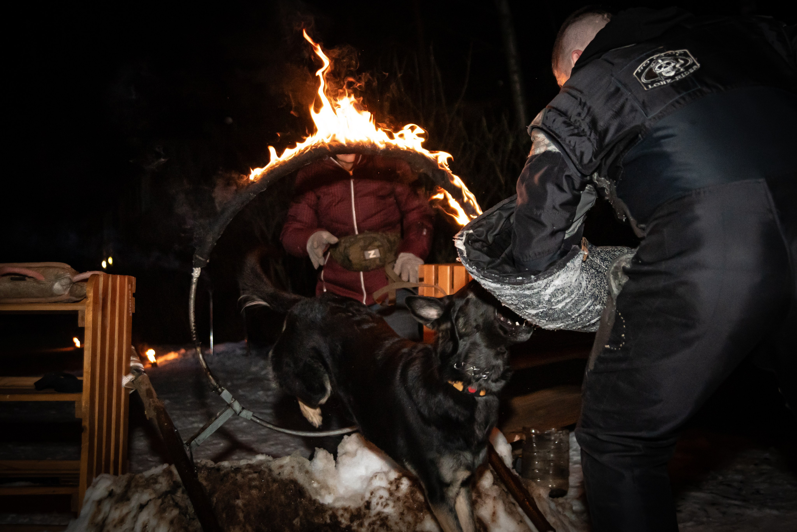 Фотосъёмка с собаками в Кинологическом лагере. Фотограф Макс Огурцов в Нижнем Новгороде