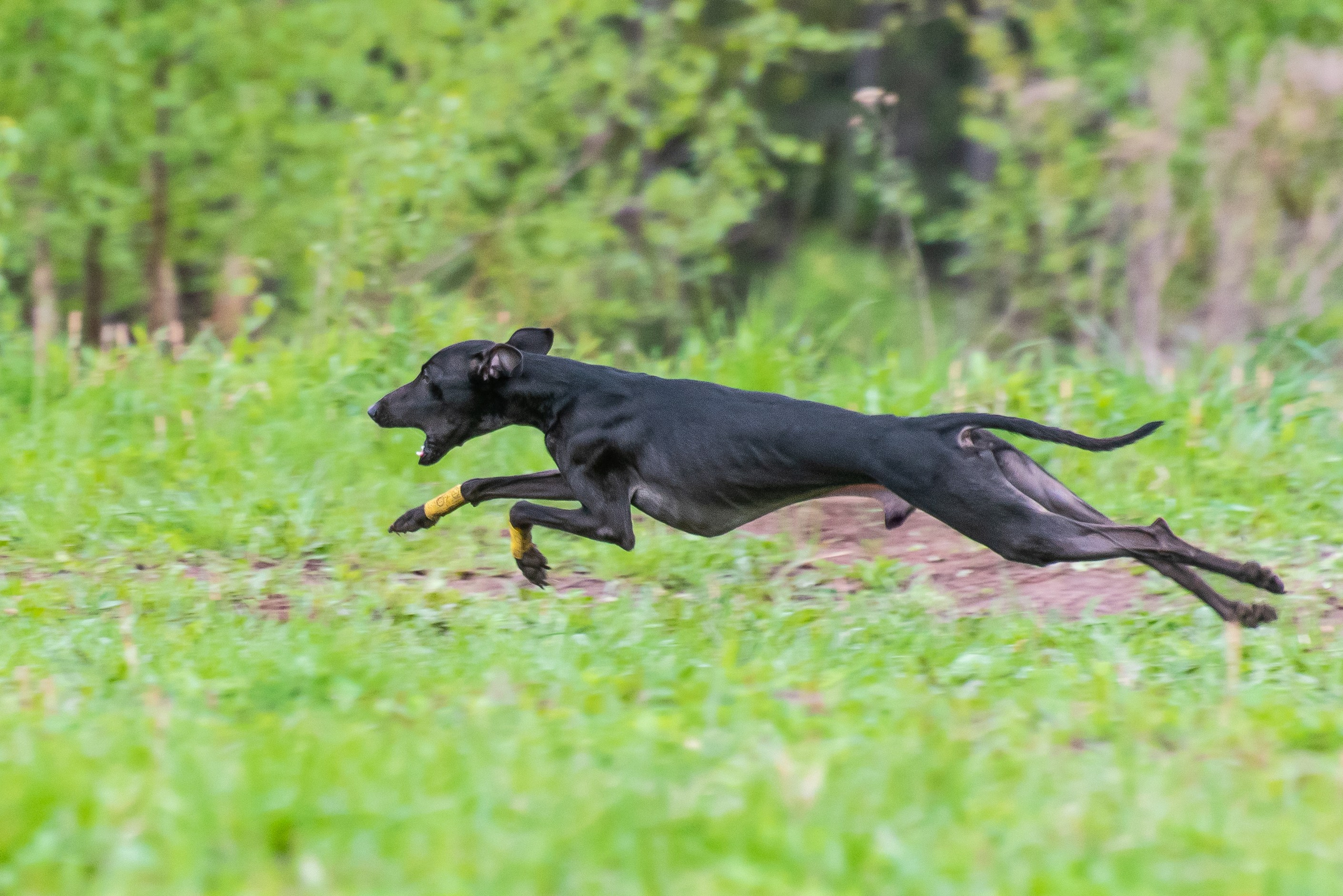Фотографии с Курсинга. Фотограф Макс Огурцов в Нижнем Новгороде