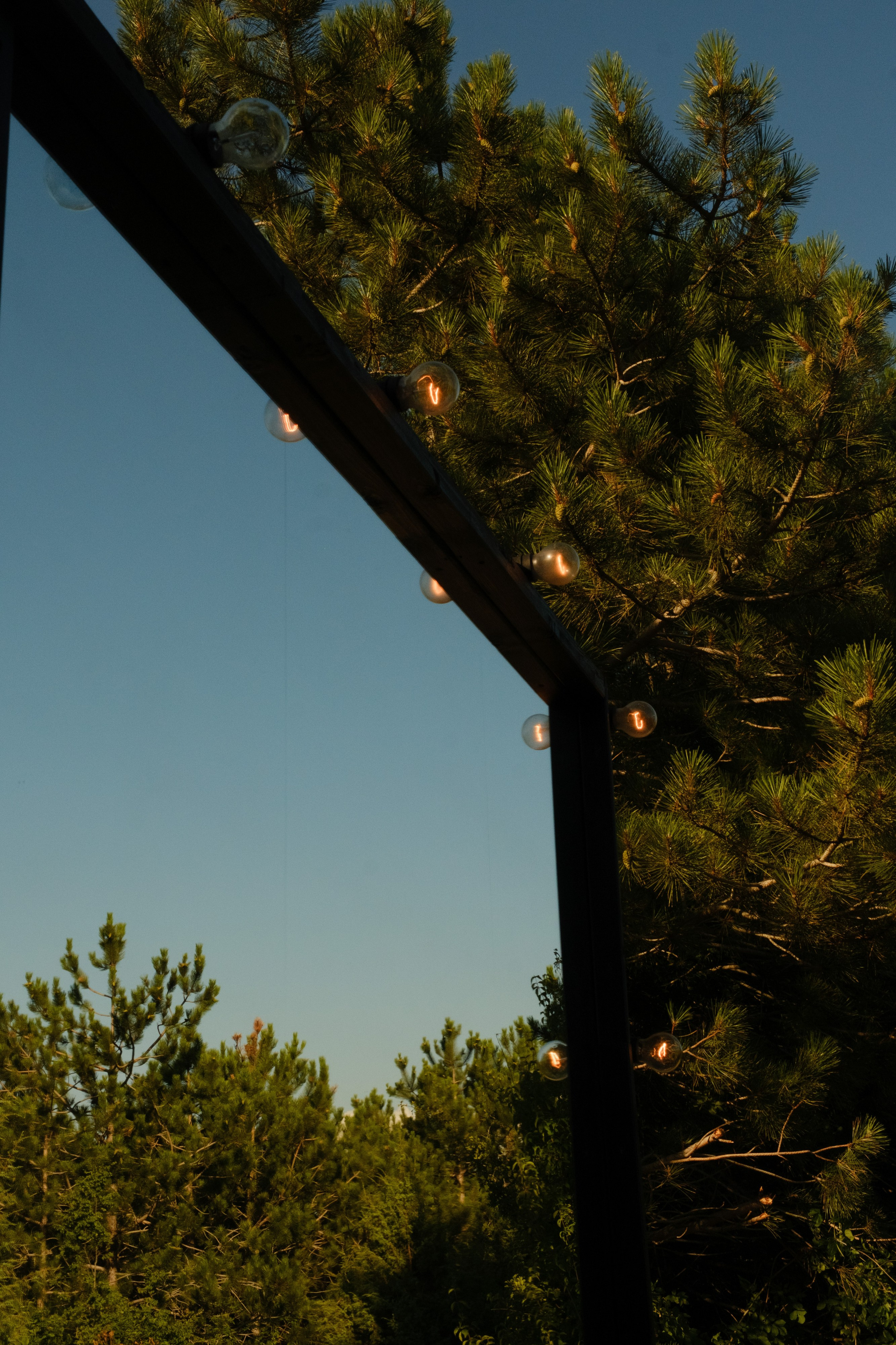 Андрей и Дари. Фотограф в Сочи Краснодар Москва Руслан Поляков