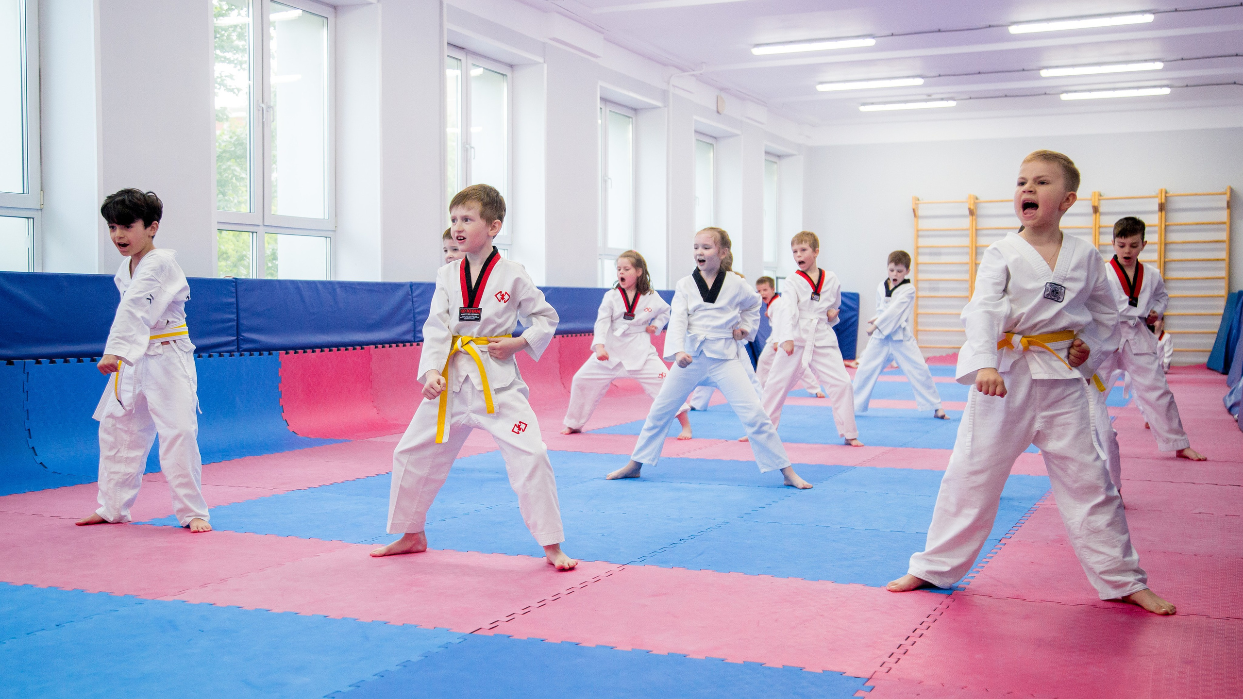 Желтый пояс по тхеквандо. Репортажный фотограф Борис Геер