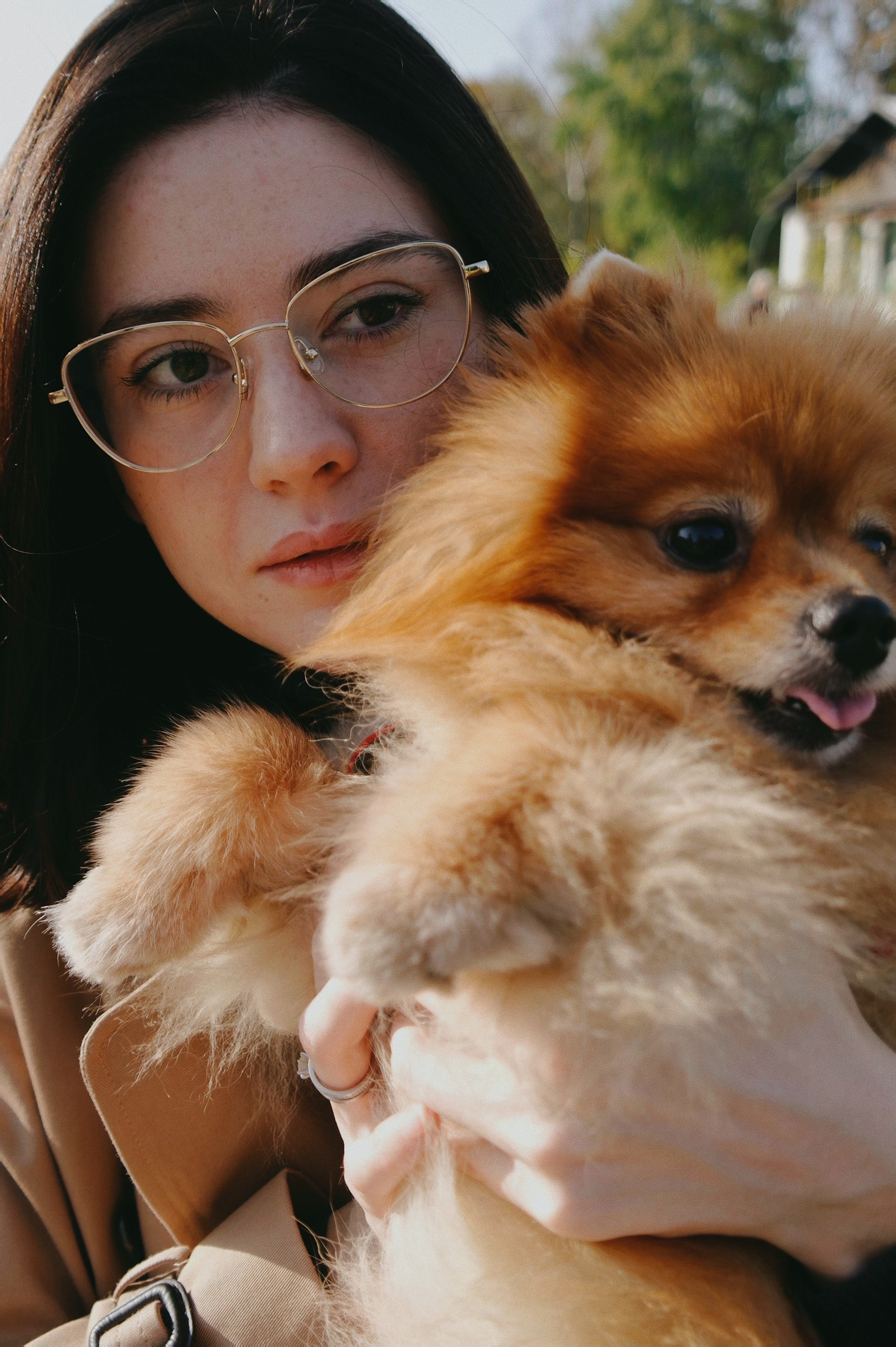 Питомцы. Татьян гертье