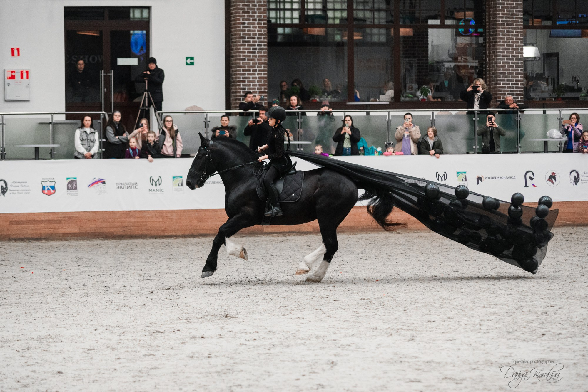 8-я международная выставка Конная Россия. Конный фотограф Куракина Дарья • Фотосессии с лошадьми