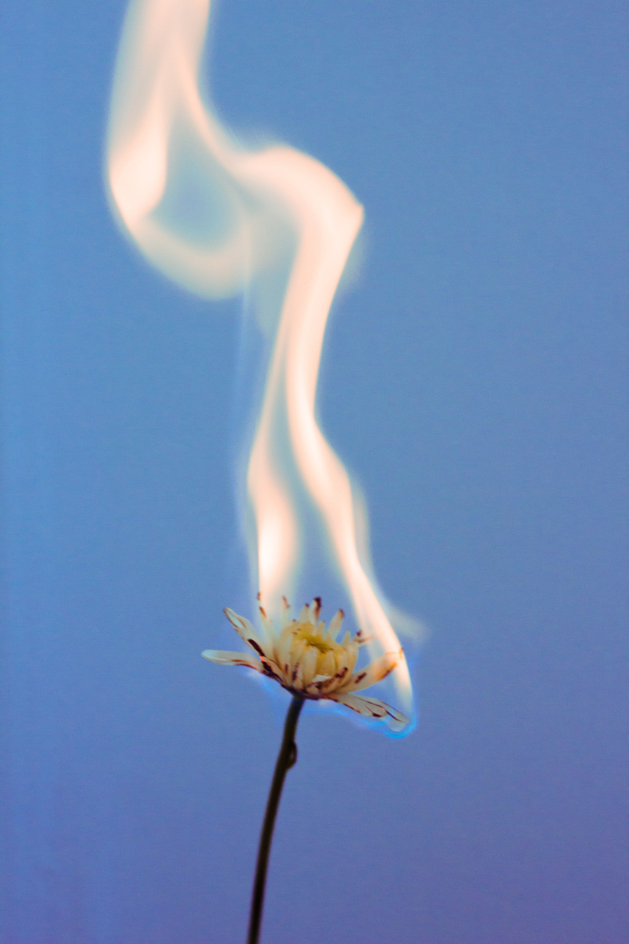 ART. Фотограф Анна Апрельская Москва| Moscow Anna Aprelskaya Photographer