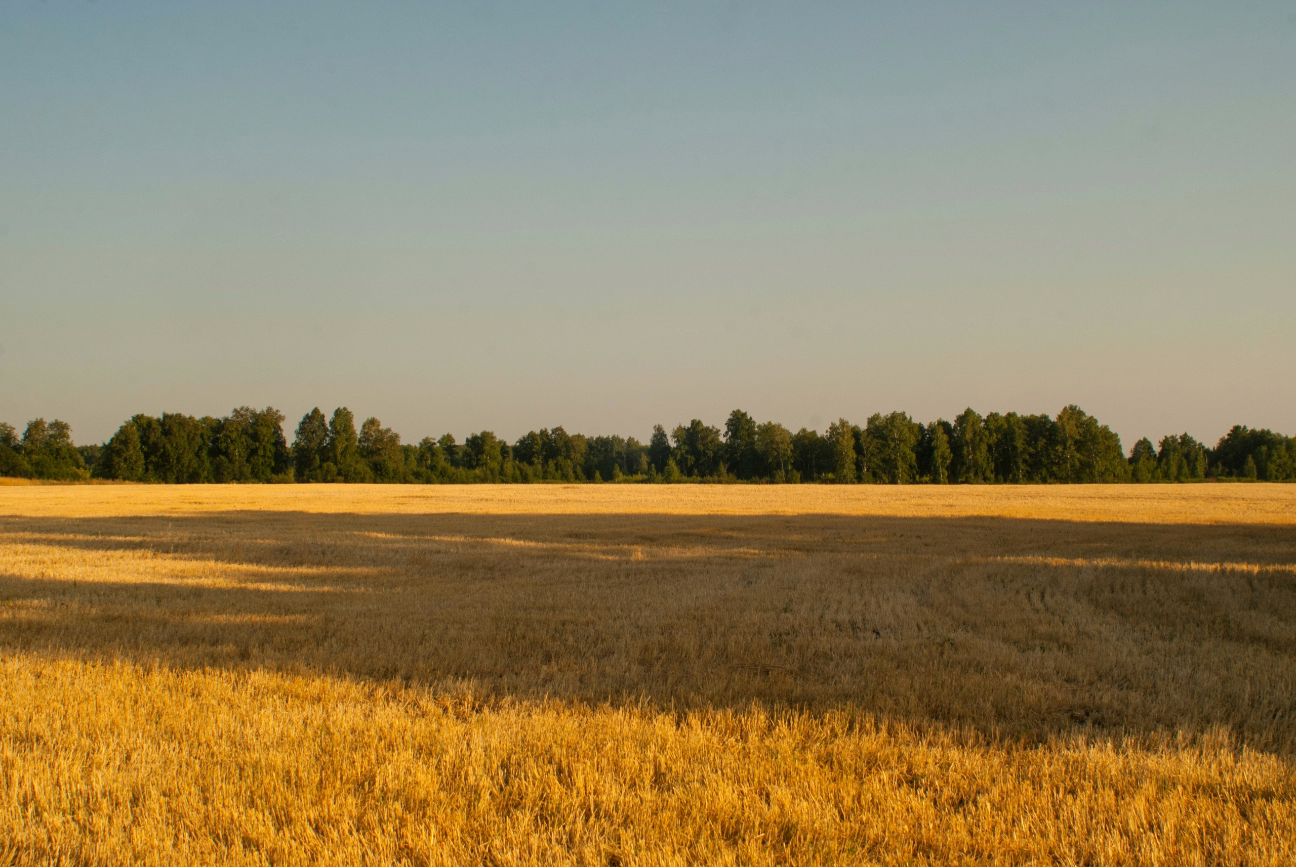 Этот прекрасный мир