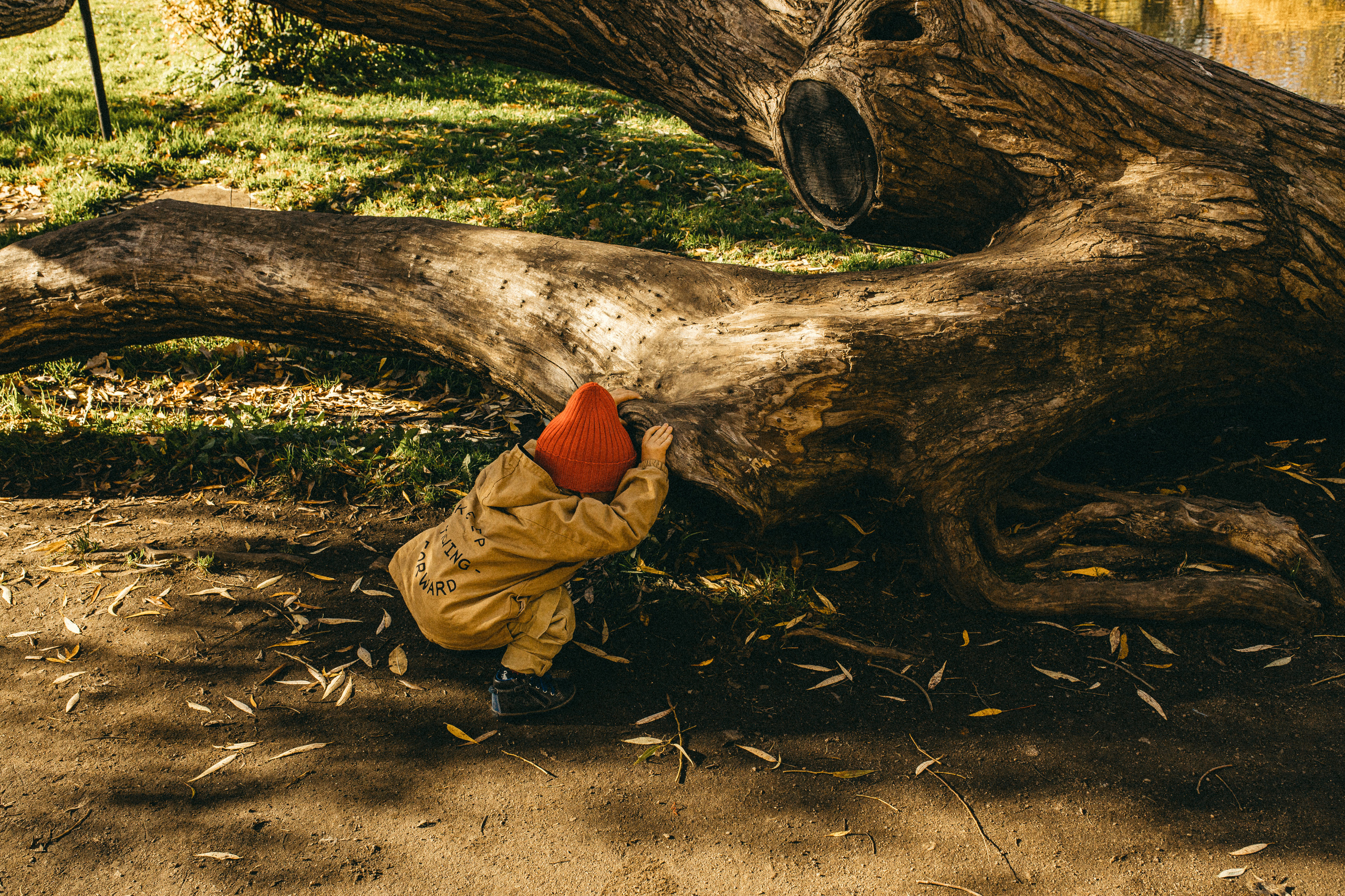 Саша и маленький Роб. Семейный, свадебный фотограф в Санкт-Петербурге Helmoon
