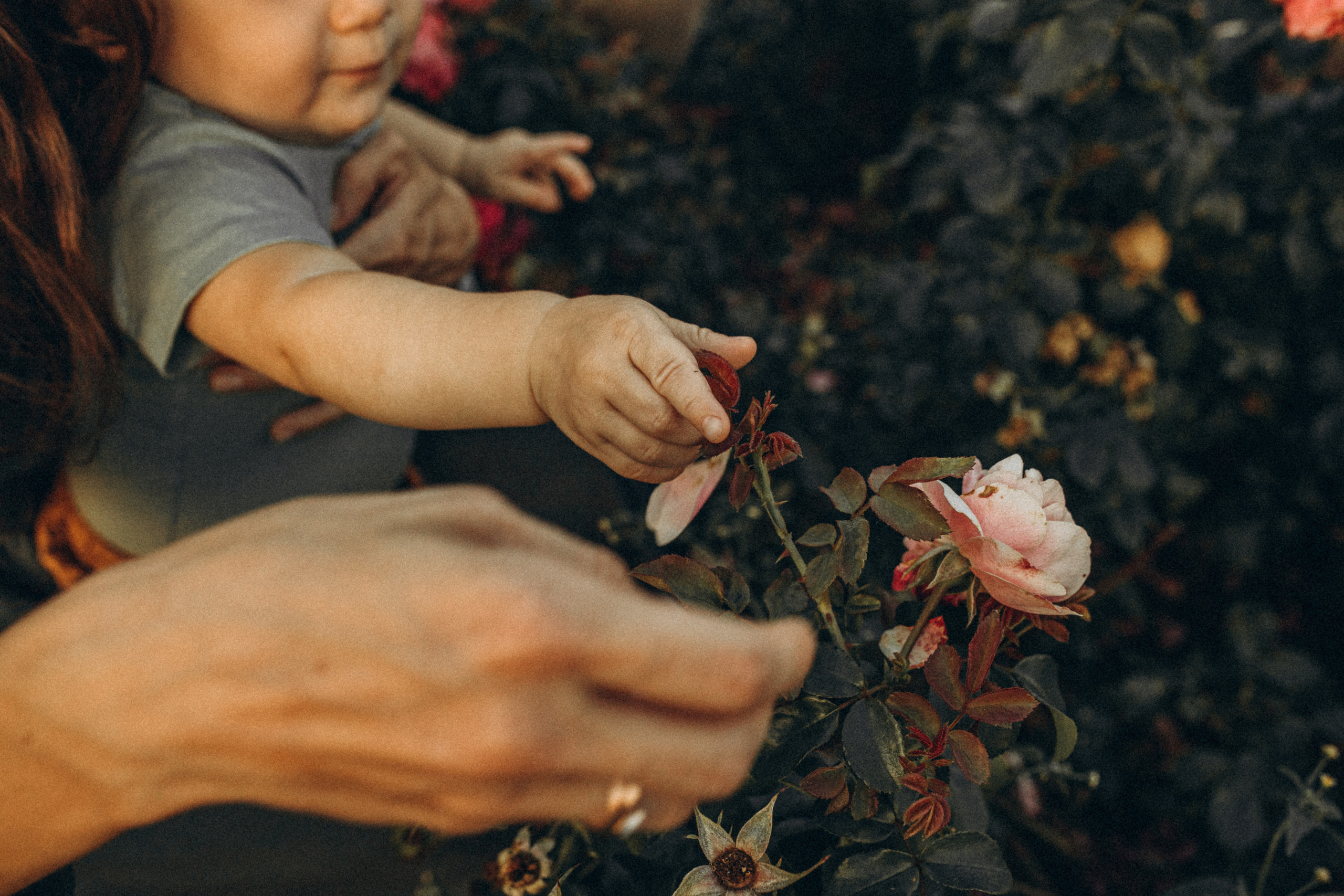 Катя, Гоша и Яша. Семейный, свадебный фотограф в Санкт-Петербурге Helmoon
