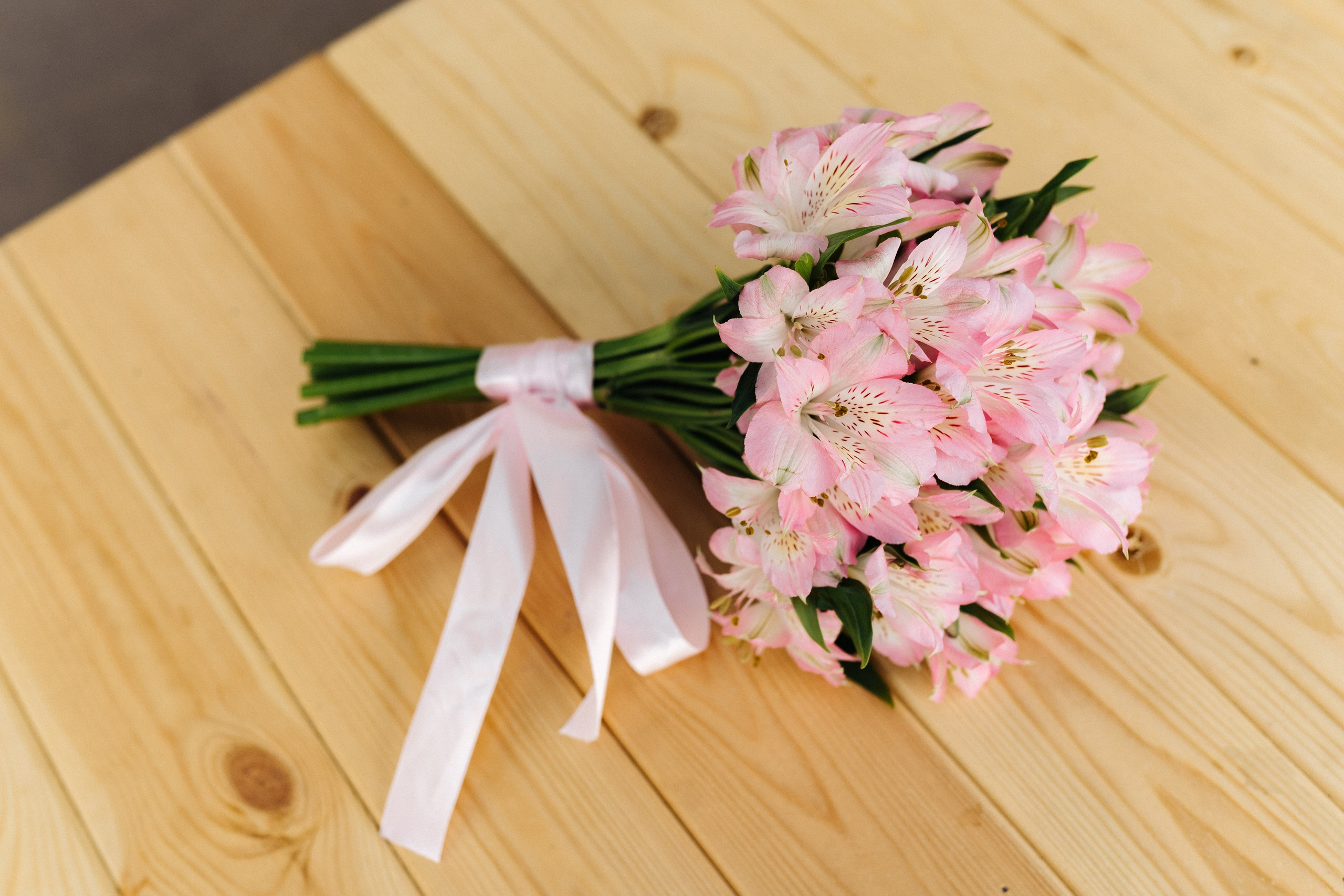 С & М Прогулка. Фотограф и видеограф в Смоленске Денис Медведев