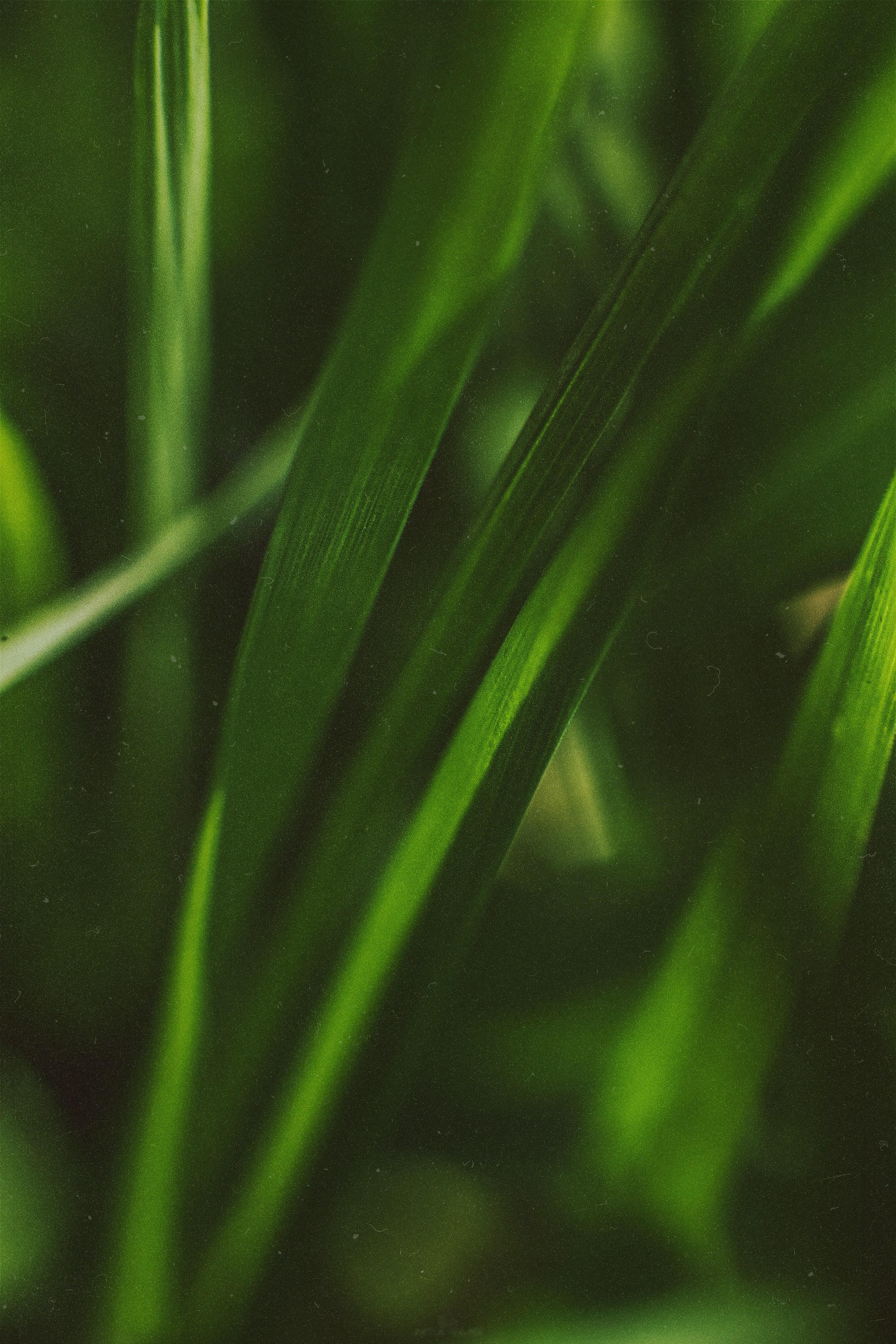 N a t u r e. Your photographer