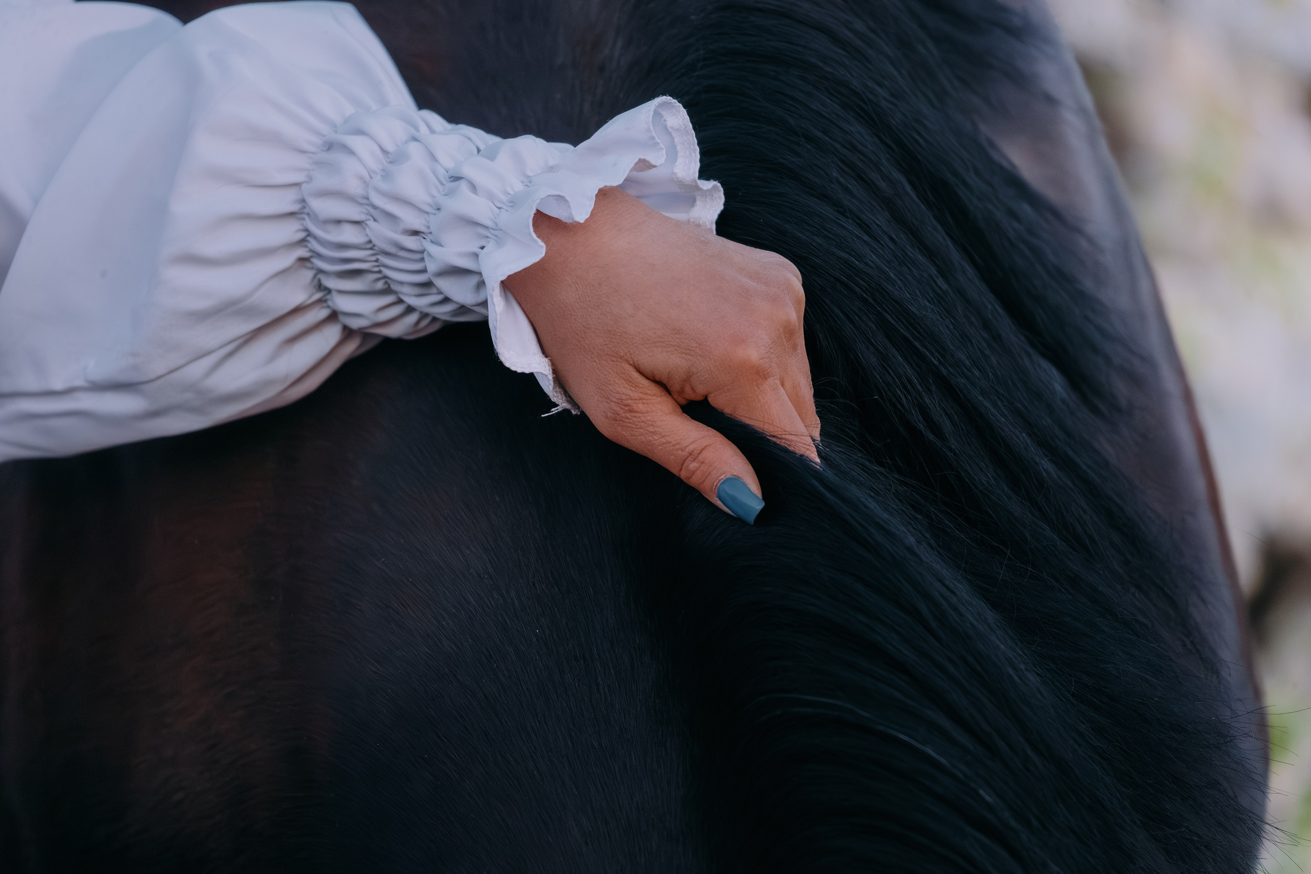 Лена и Сархан. Фотограф-анималист Ксендзова Кристина