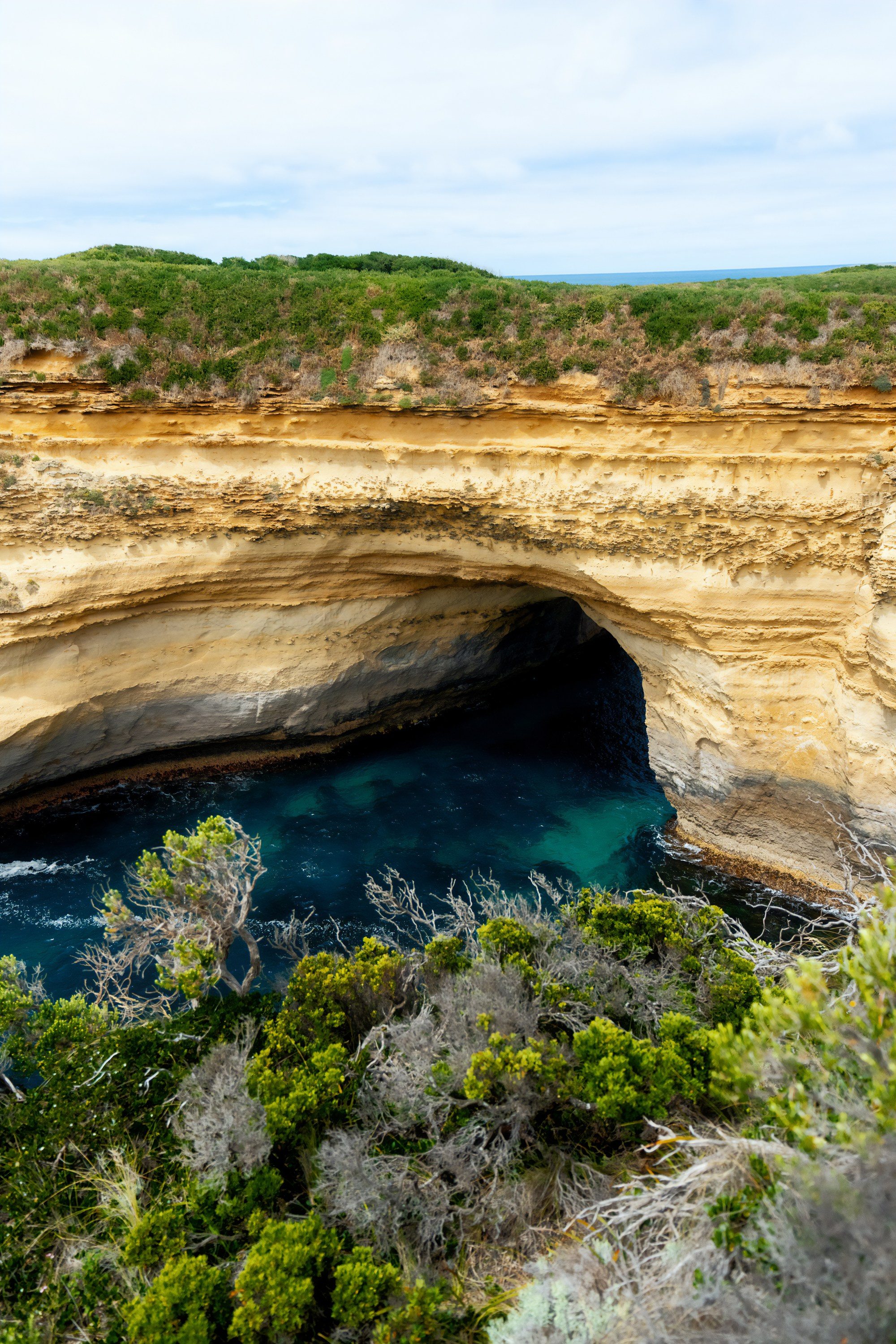 Австралия. Фотограф в Хабаровске. Фотография за 24 часа
