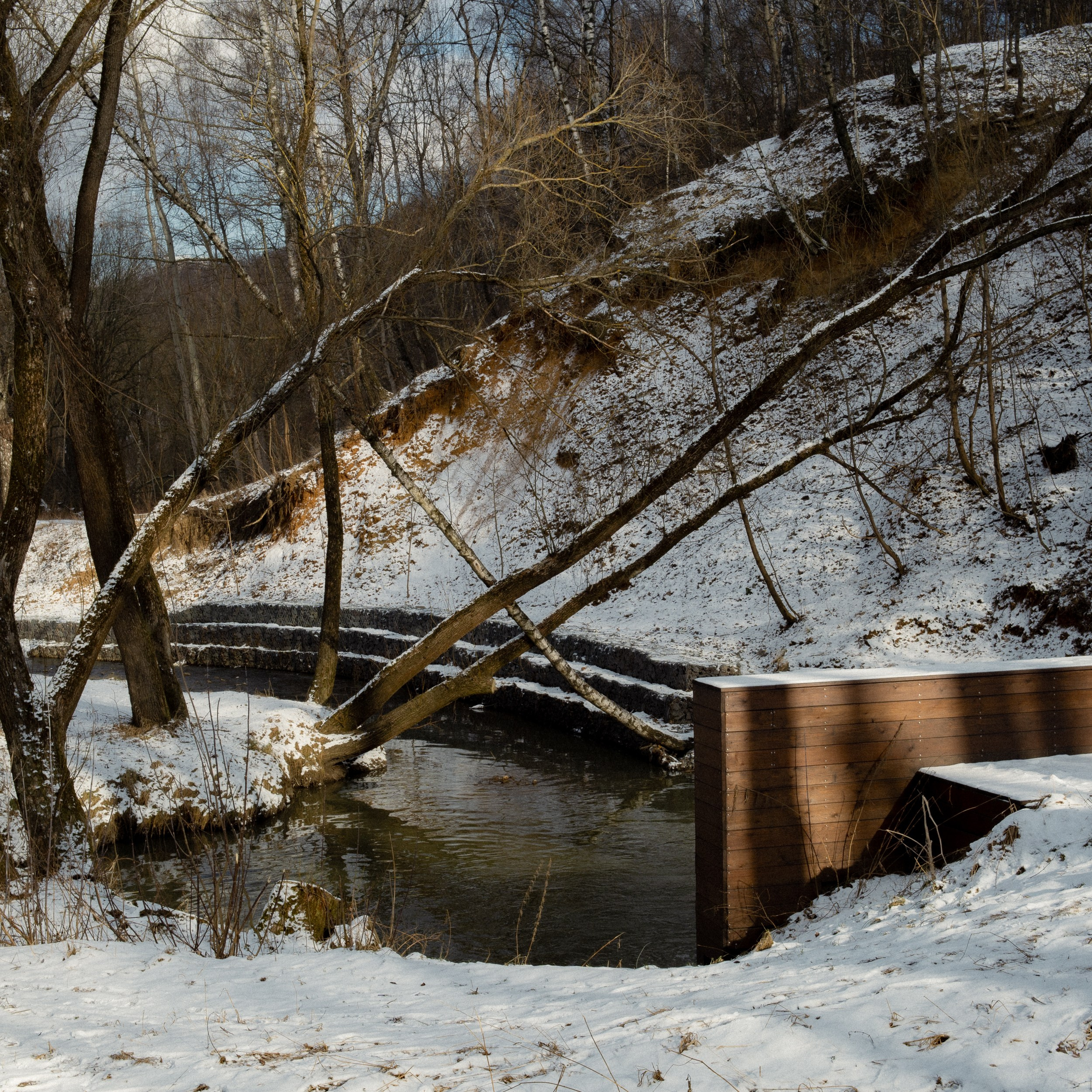 Оттепель. Photographer Pavel Romashchenko