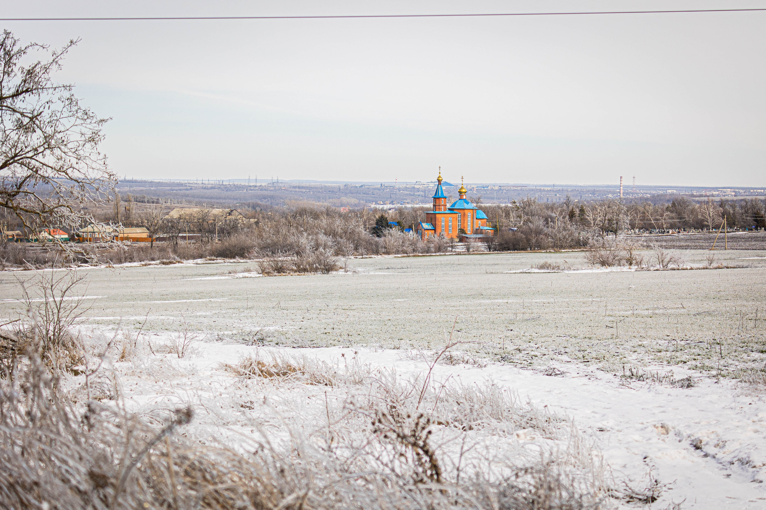 Дикий животный мир. Фотограф-АниМалист Анна Абрамова