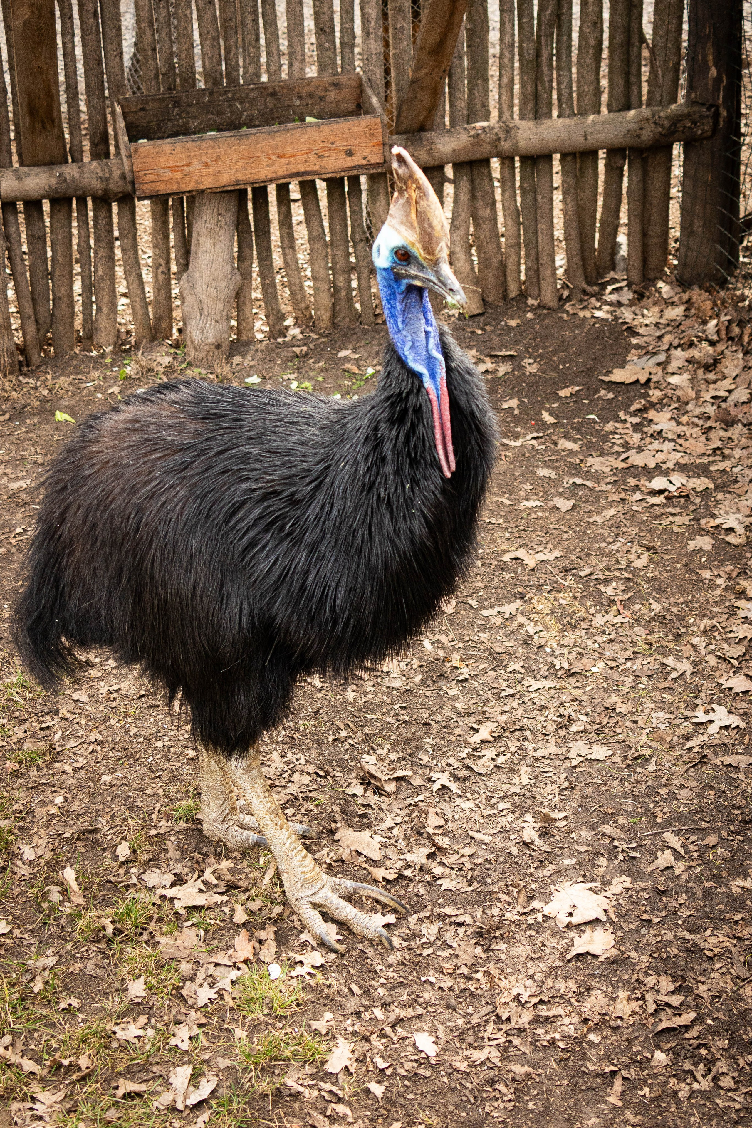 Парк Малинки 2026. Фотограф-АниМалист Анна Абрамова
