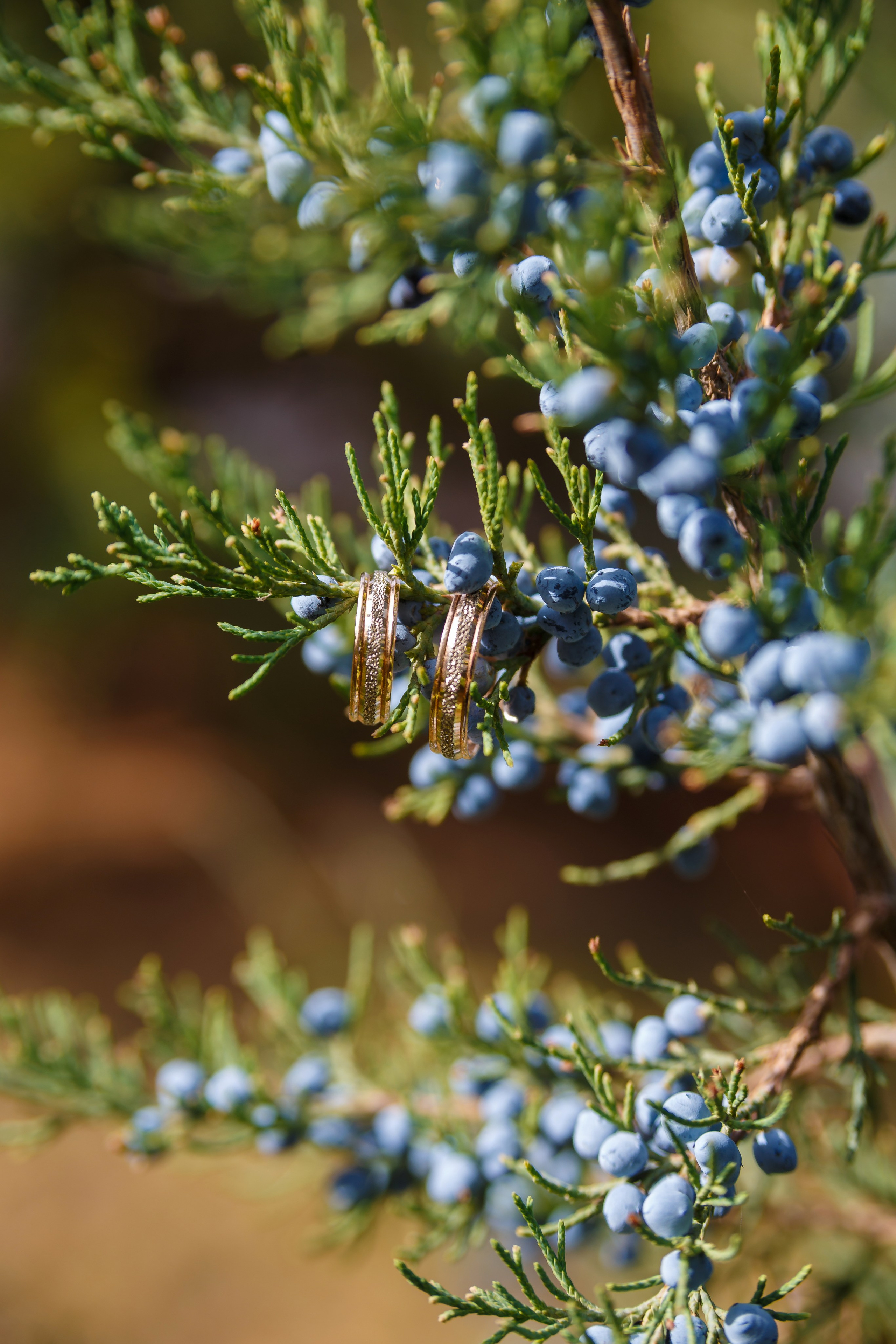 Контент. Фотограф в Урюпинске