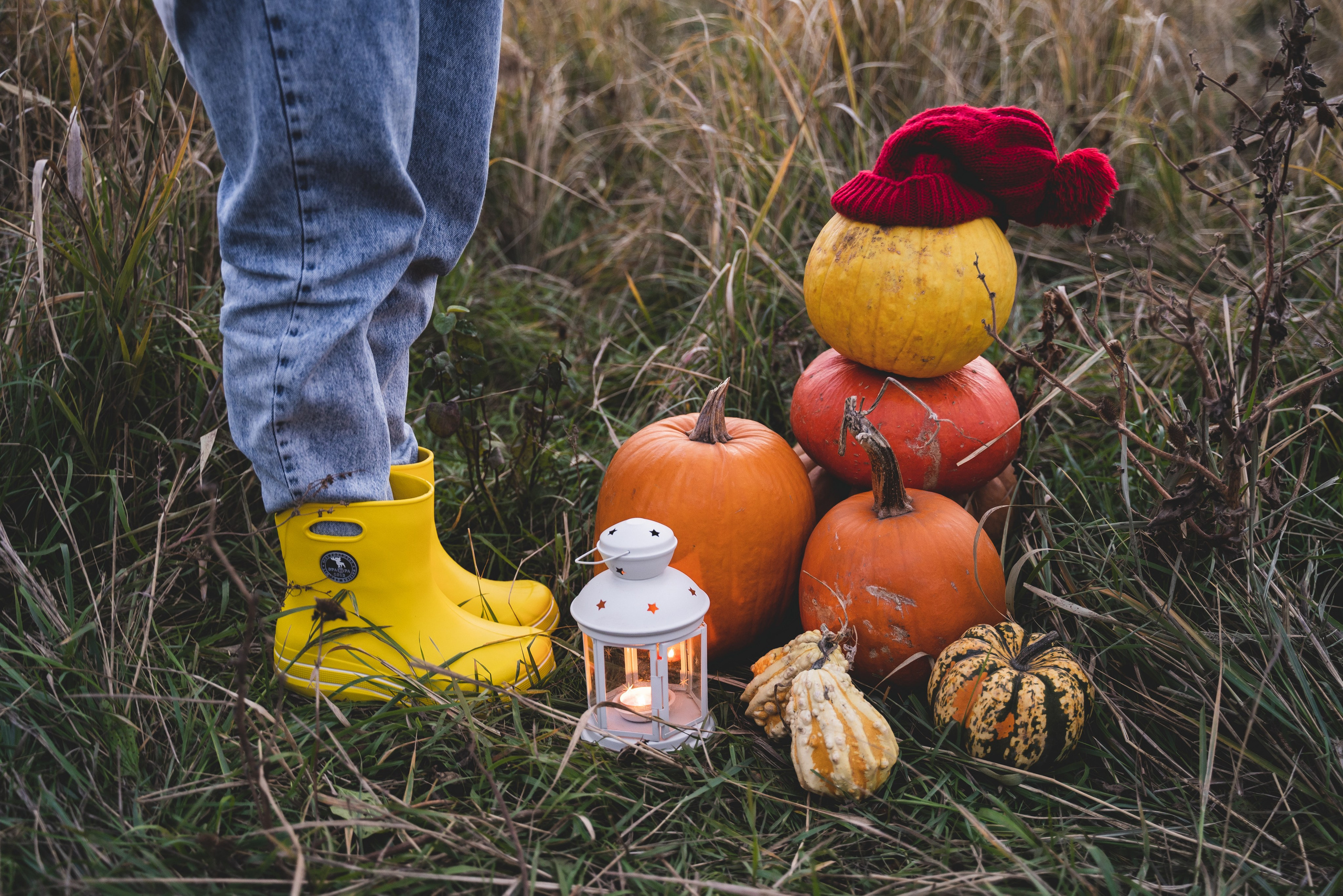 Halloween. Визуальный художник «Границы внутри»